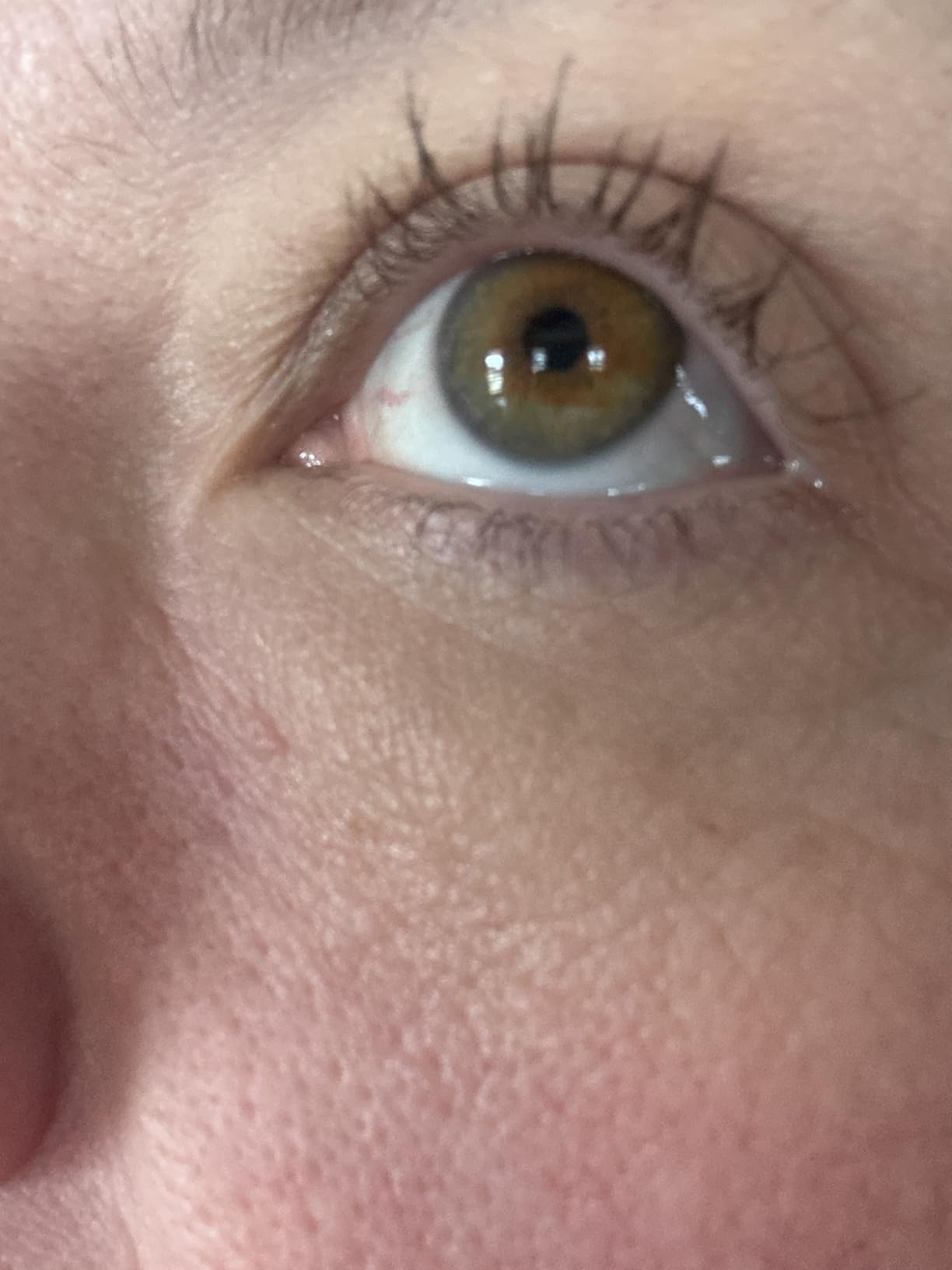 Too Faced Better Than Sex Volumizing Mascara | Dramatic Volume + Length | Cruelty Free customer photo 2