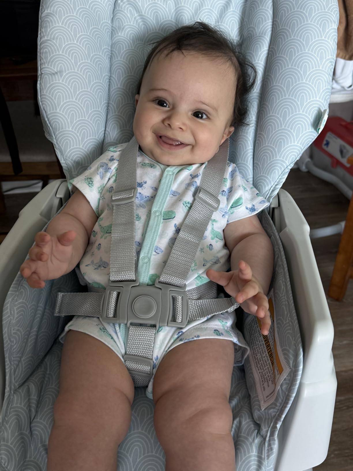 Graco Slim Snacker Highchair, Whisk customer photo 2