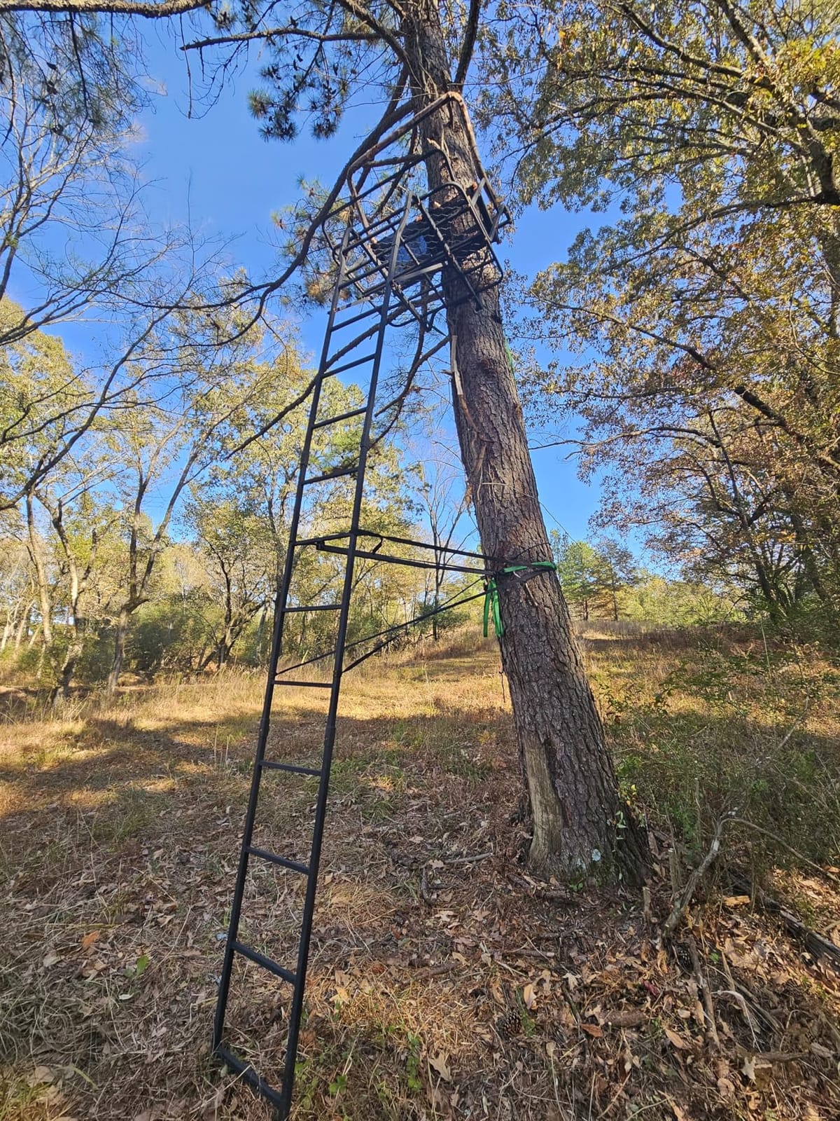 Muddy 2-Person Ladder Tree Stand for Deer Hunting,17' Tall, Black customer photo 2