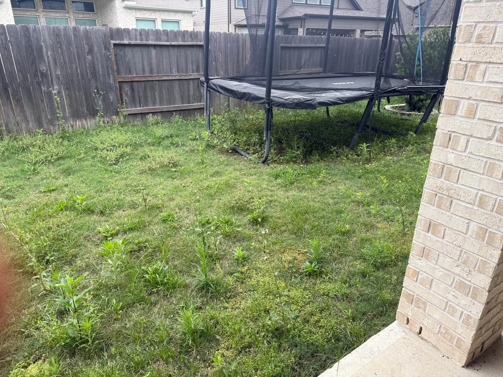 Scotts Turf Builder Weed & Feed3, 14.29 lbs. customer photo 1