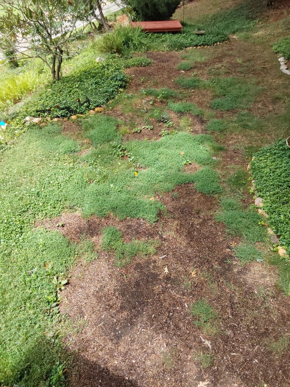 BioAdvanced 3-In-1 Weed and Feed for Southern Lawns, Granules, 12.5 lb, 5,000 Sq Ft customer photo 1
