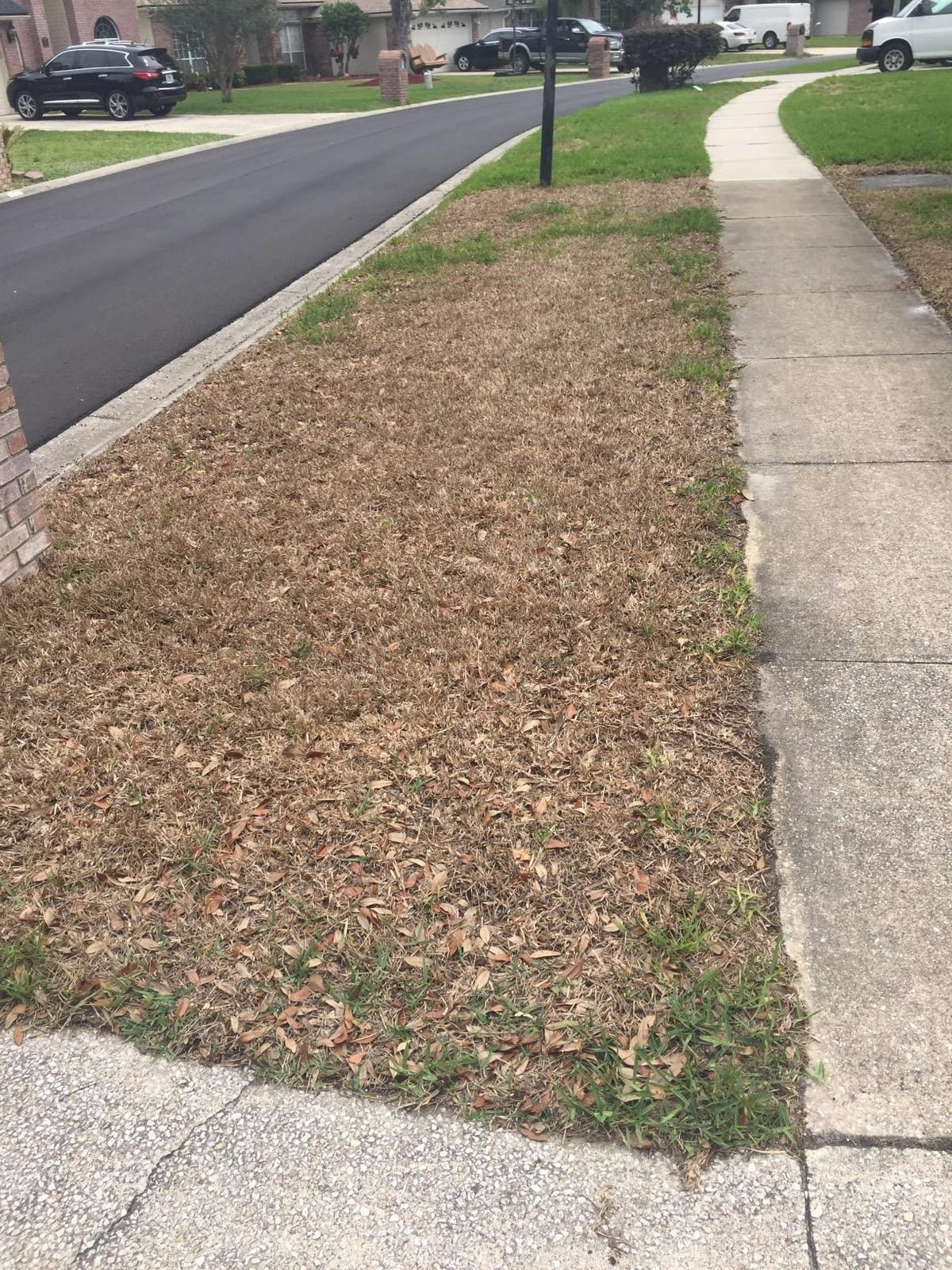 BioAdvanced 3-In-1 Weed and Feed for Southern Lawns, Granules, 12.5 lb, 5,000 Sq Ft customer photo 2