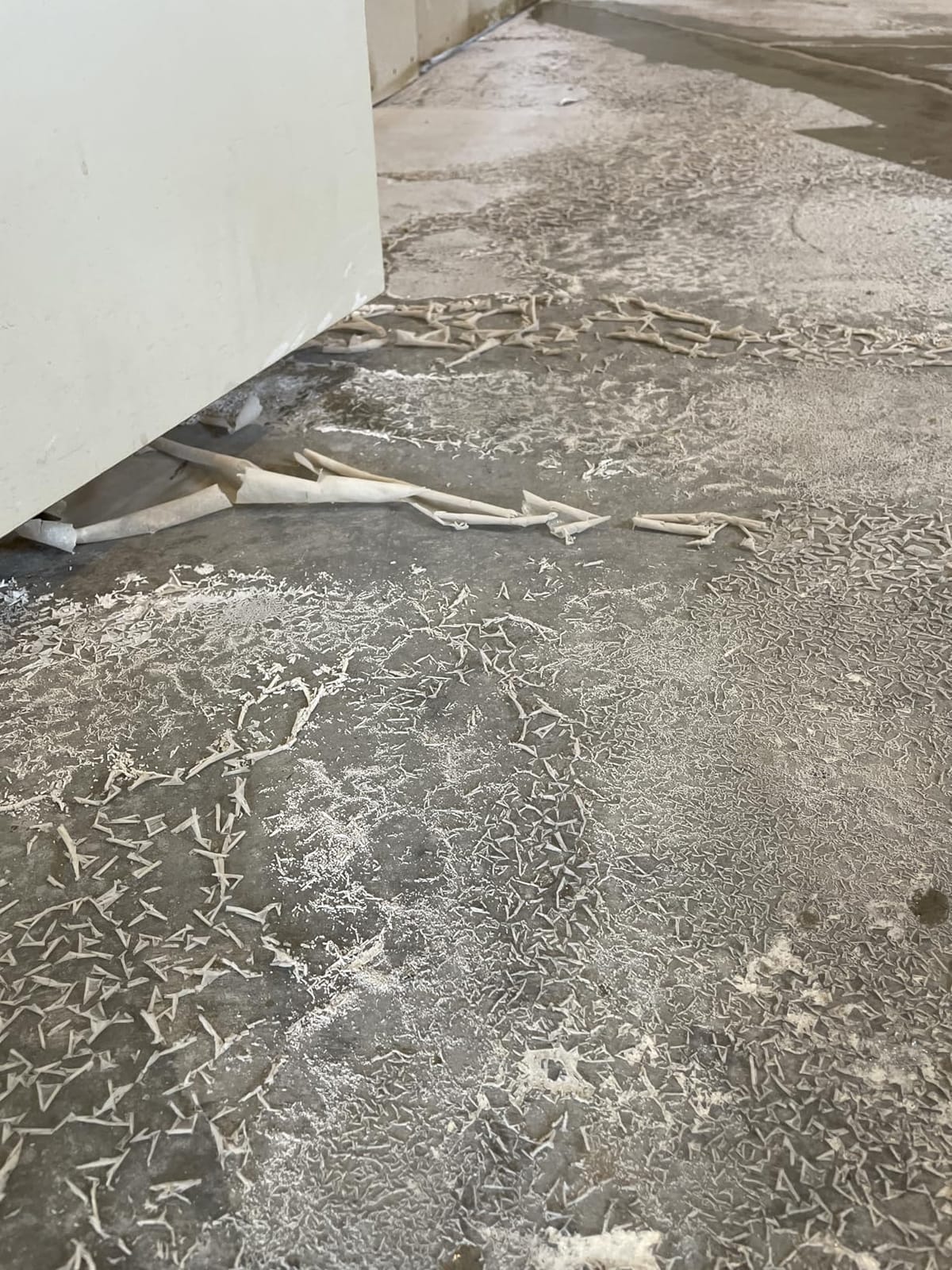 RadonSeal Plus Concrete Sealer – Deep Penetrating Waterproofing for Basement Floors, Foundation Walls & Concrete Block – Reduces Moisture & Strengthens Concrete (5 Gallon) customer photo 1