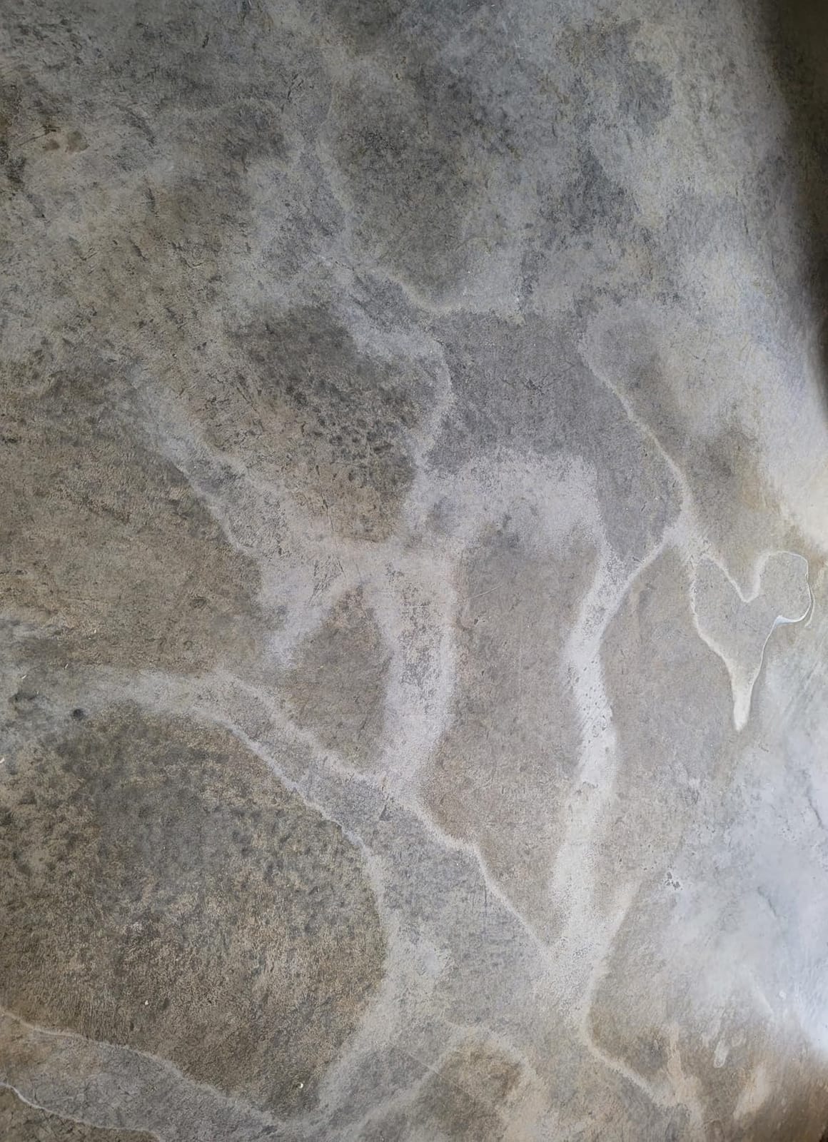 RadonSeal Plus Concrete Sealer – Deep Penetrating Waterproofing for Basement Floors, Foundation Walls & Concrete Block – Reduces Moisture & Strengthens Concrete (5 Gallon) customer photo 2