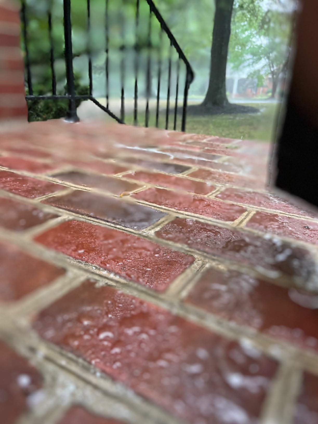 Eco Advance Concrete/Masonry Siloxane Odorless Spray-On Application Waterproofer, Safe for Use Around Plants, Pets, and People, 1 Gallon customer photo 1
