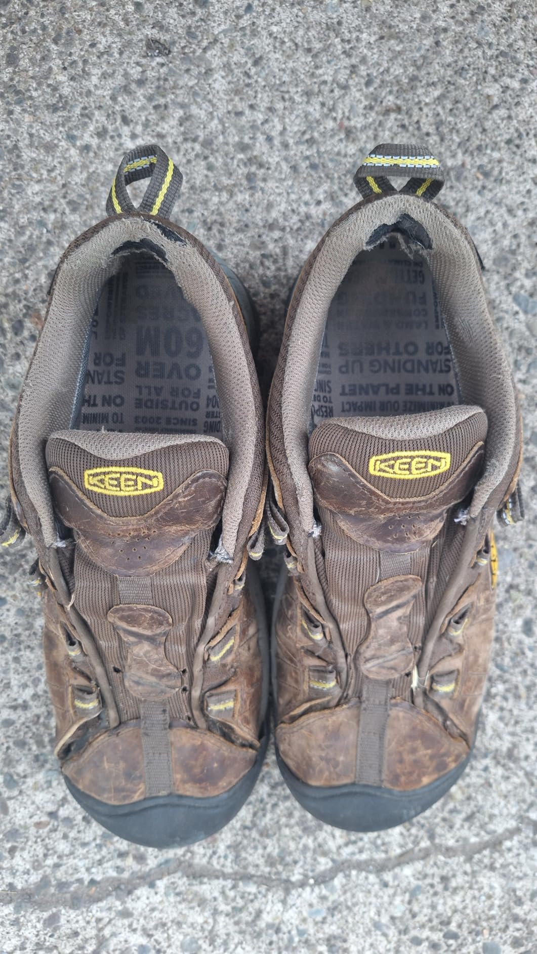 KEEN Men's Targhee 2 Low Height Waterproof Hiking Shoes customer photo 1