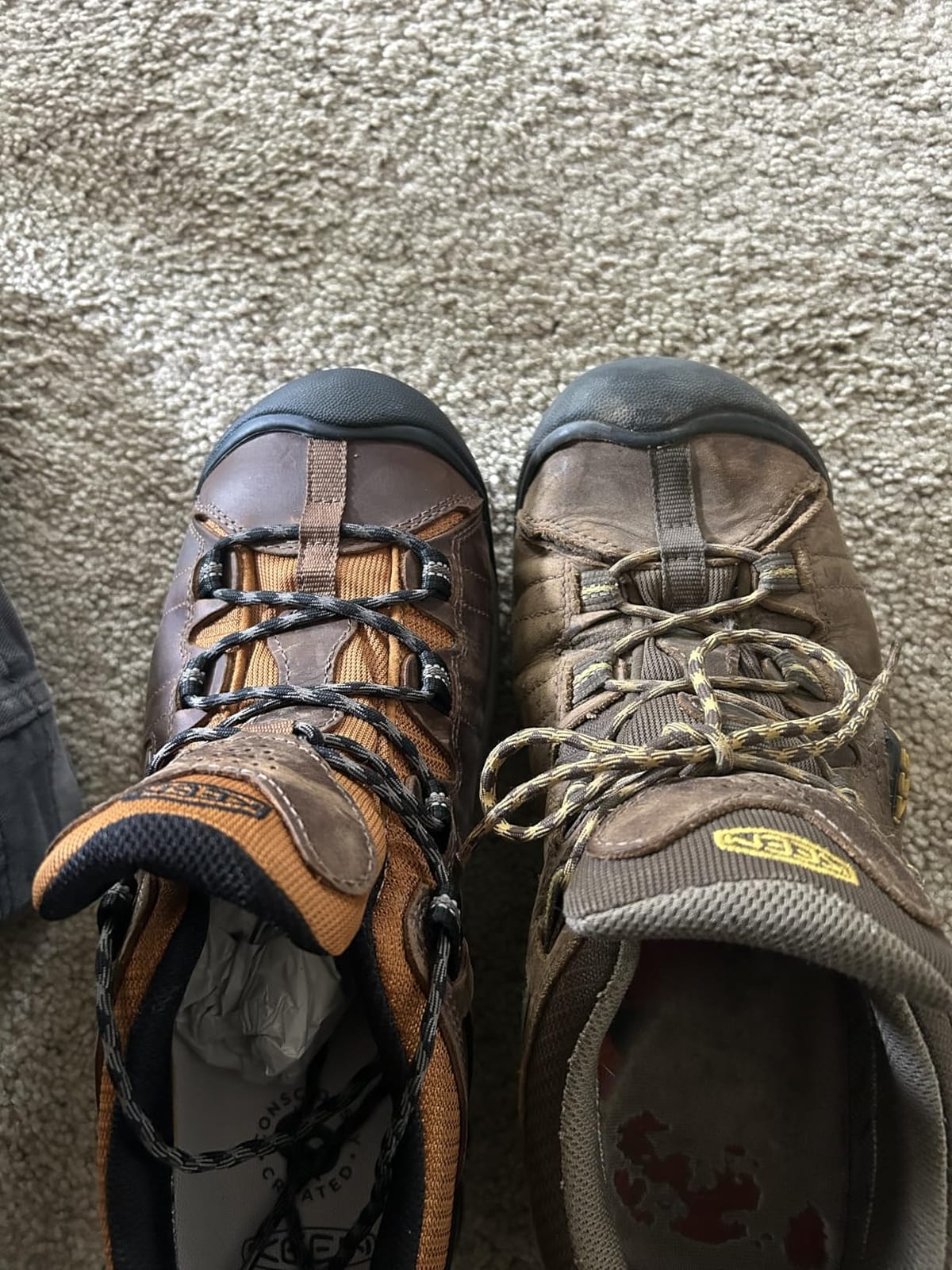 KEEN Men's Targhee 2 Low Height Waterproof Hiking Shoes customer photo 2