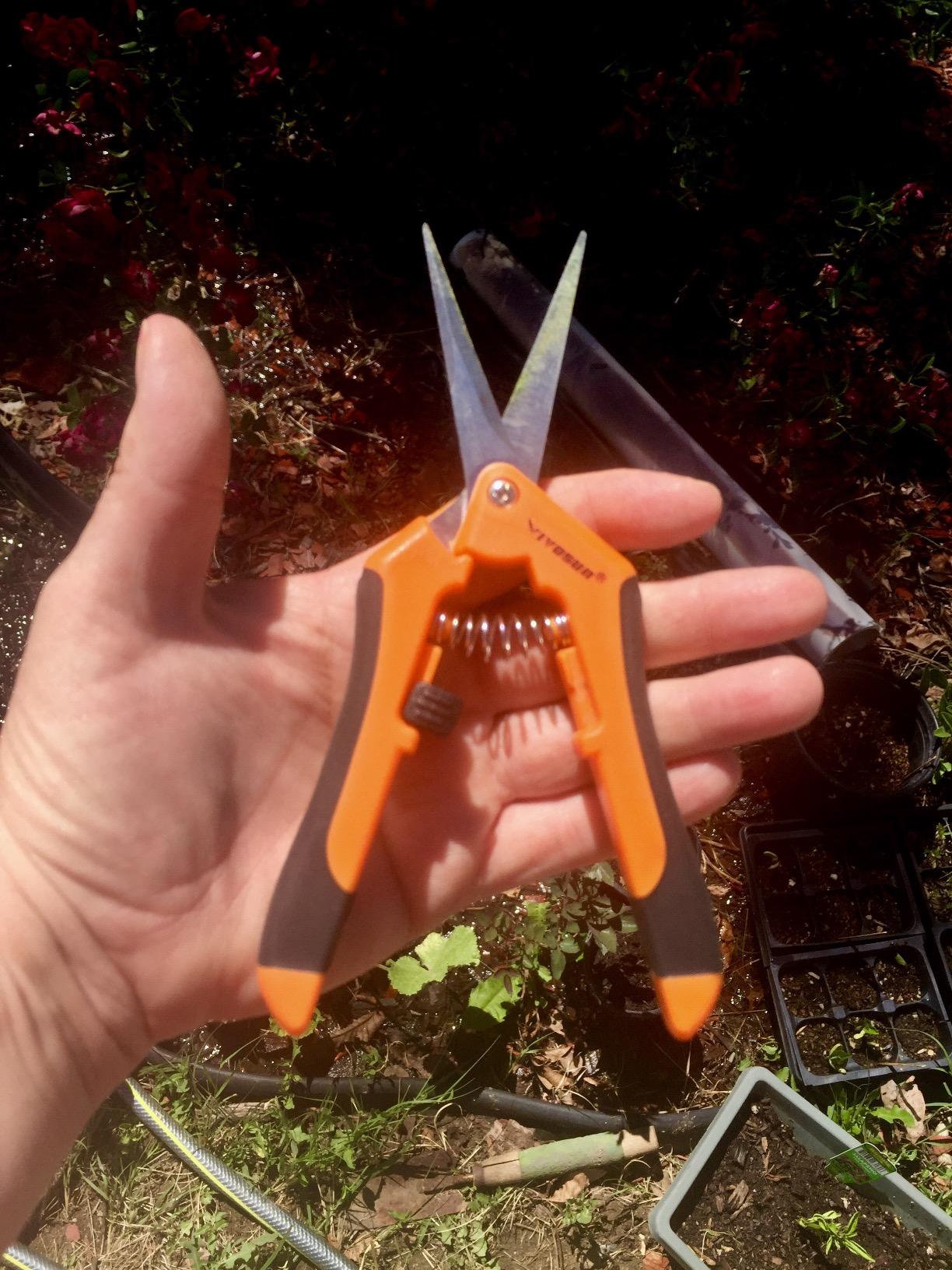VIVOSUN 6.5 Inch Gardening Scissors Hand Pruner Pruning Shear with Straight Stainless Steel Blades Orange 1-Pack customer photo 1