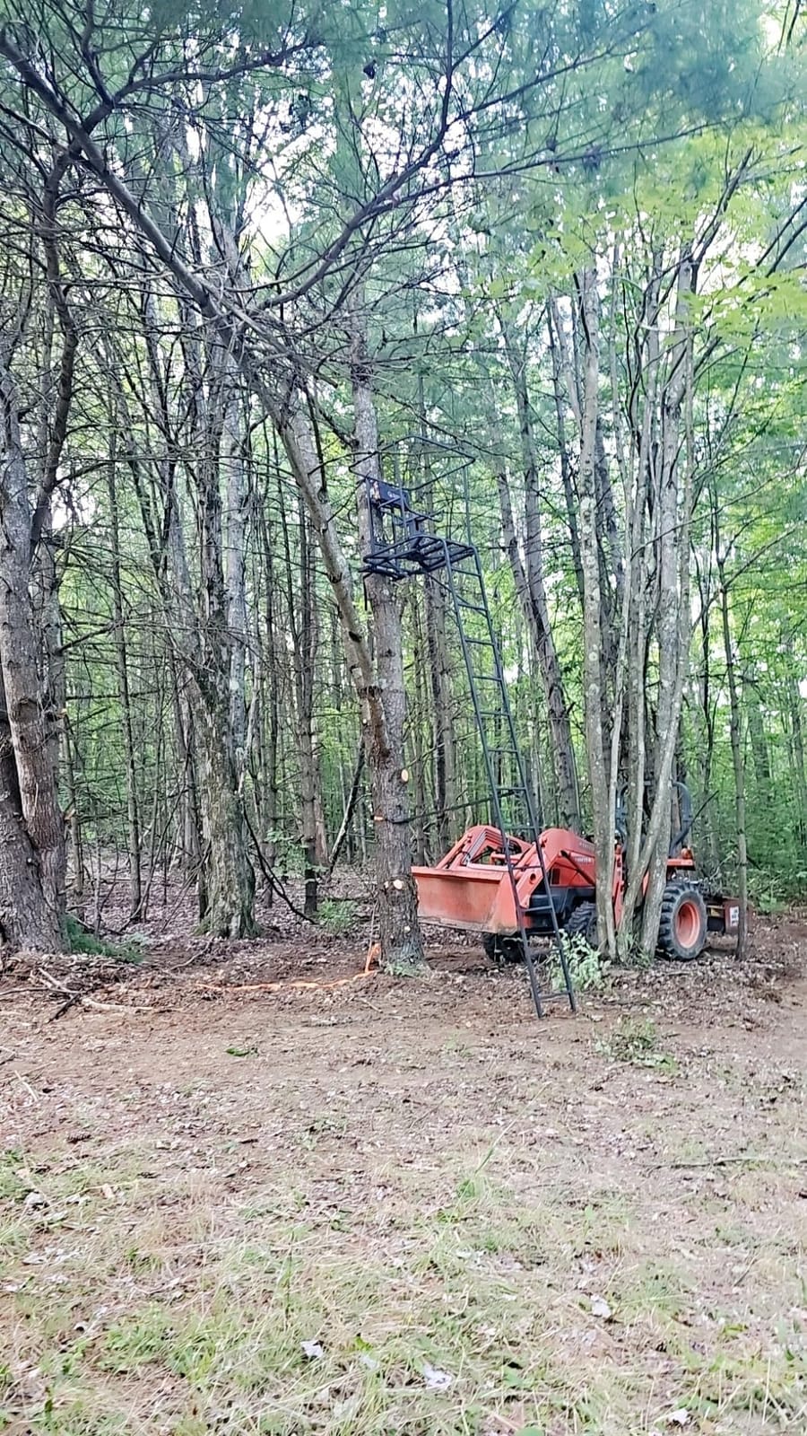 Guide Gear 16' Swivel Ladder Tree Stand for Hunting Climbing Seat Hunt Gear Equipment Accessories customer photo 1