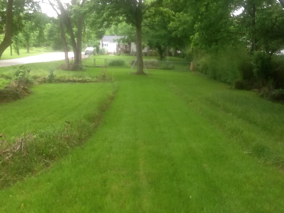 Jonathan Green (10457) Green-Up Lawn Food with Crabgrass Preventer - 20-0-3 Grass Fertilizer & Crabgrass Killer (15,000 Sq. Ft.) customer photo 1