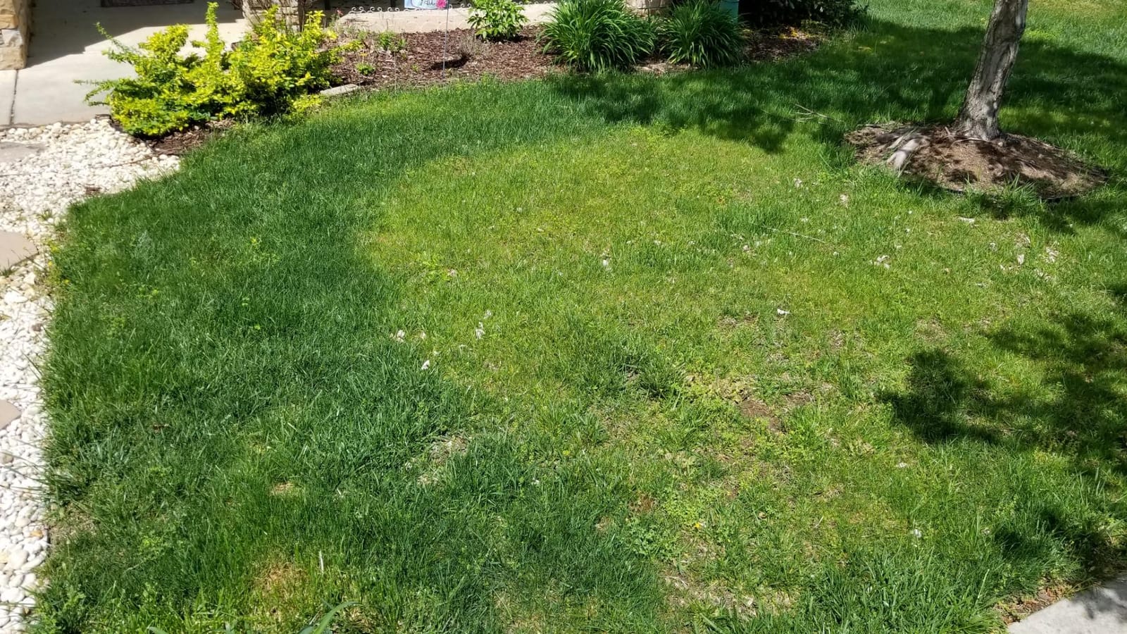 Jonathan Green (12344) Green-Up Weed & Feed - 21-0-3 Grass Fertilizer & Weed Killer (5,000 Sq. Ft.) customer photo 1