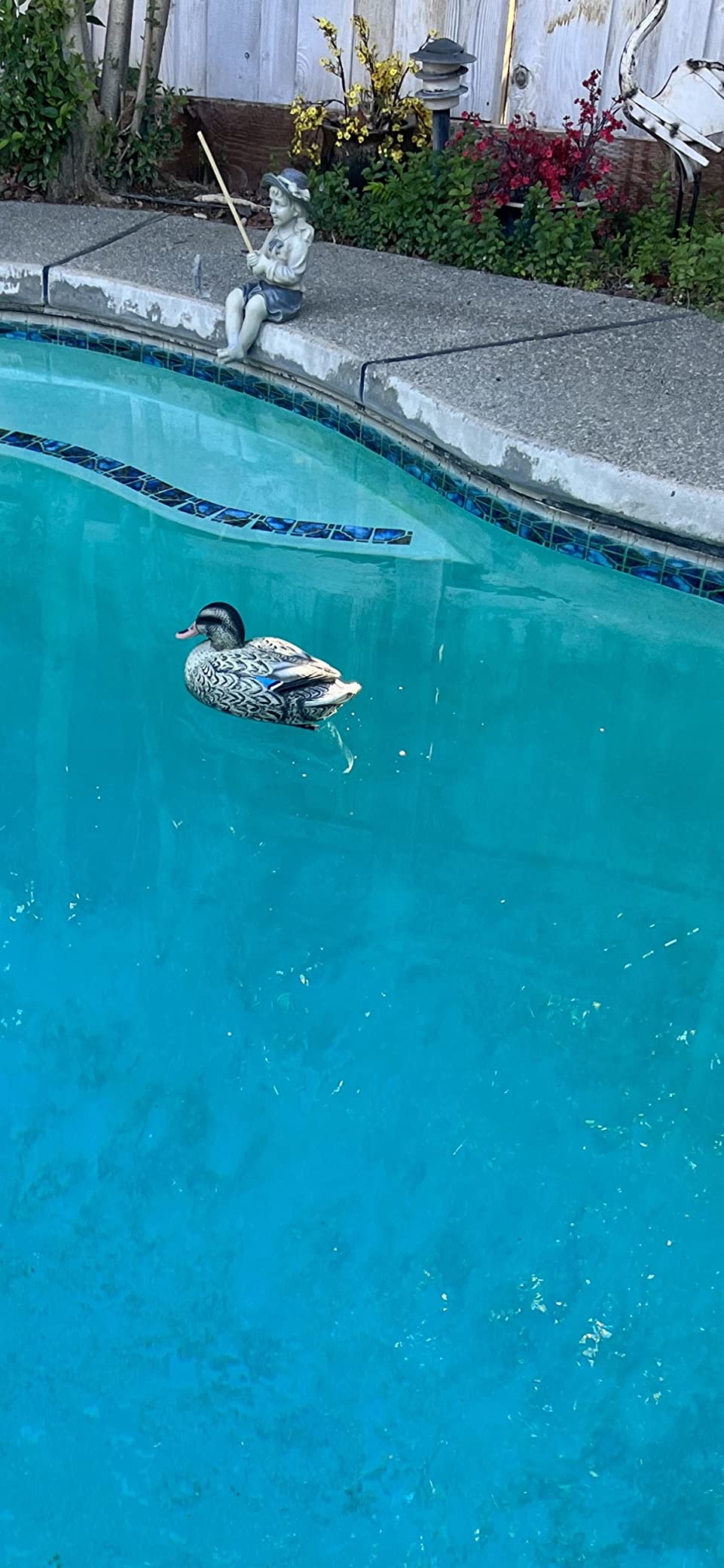 RioRand Realistic Plastic Duck Hunting Decoy Garden Decor customer photo 1