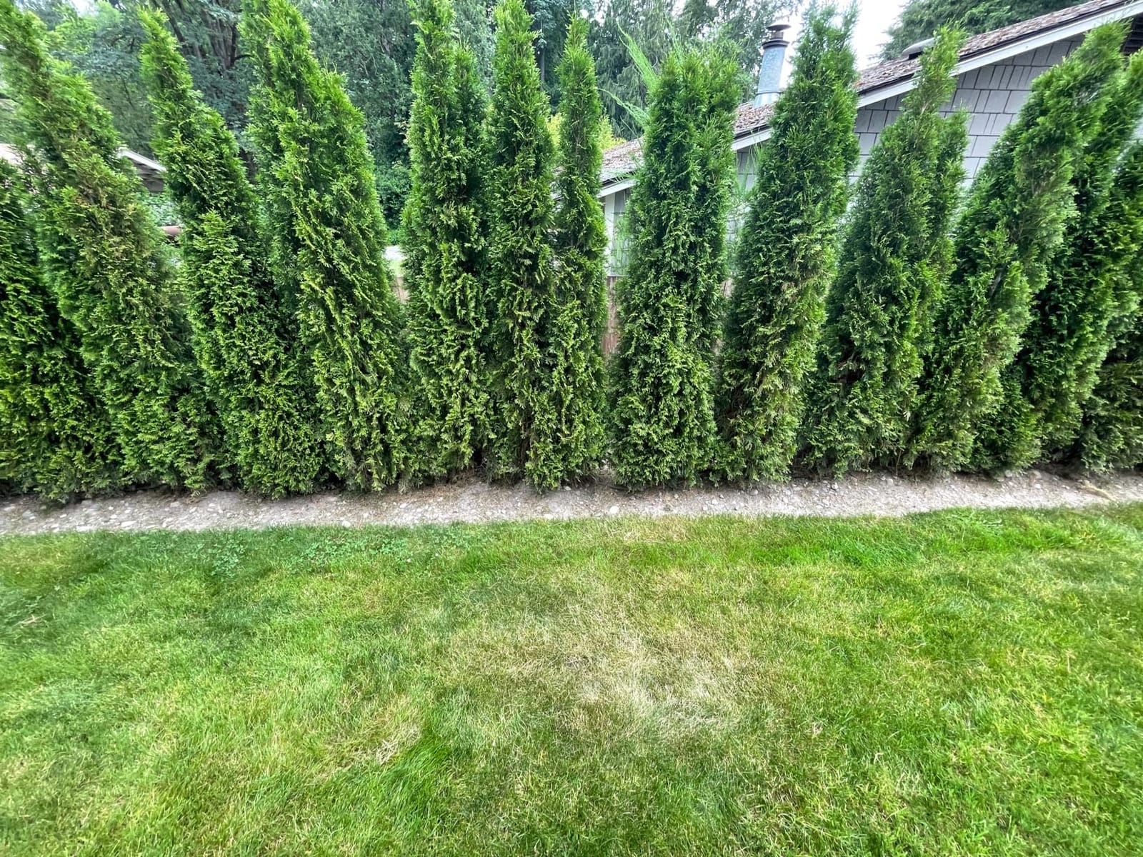EasyFlex Heavy Duty No-Dig Edging Kit - 100ft., Black customer photo 2