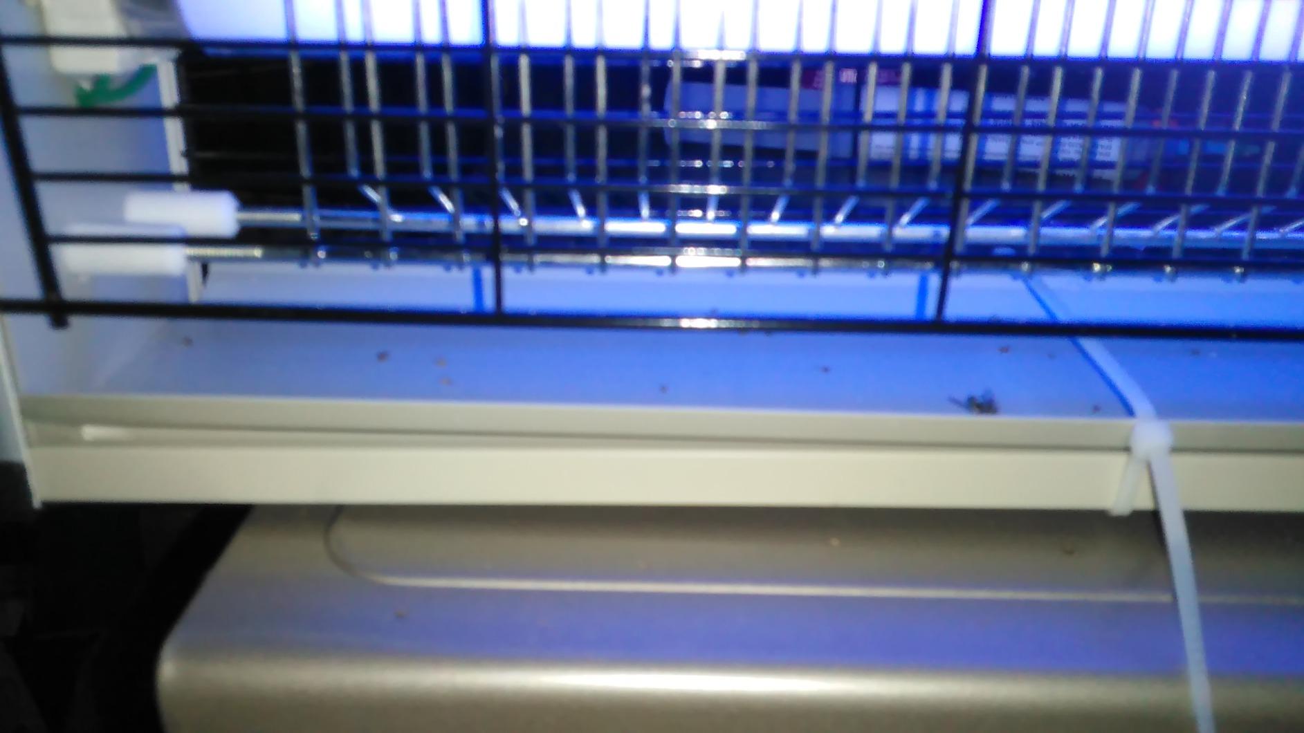 LiBa Bug Zapper 2800V Indoor, with 2 Extra Replacement Bulbs customer photo 1