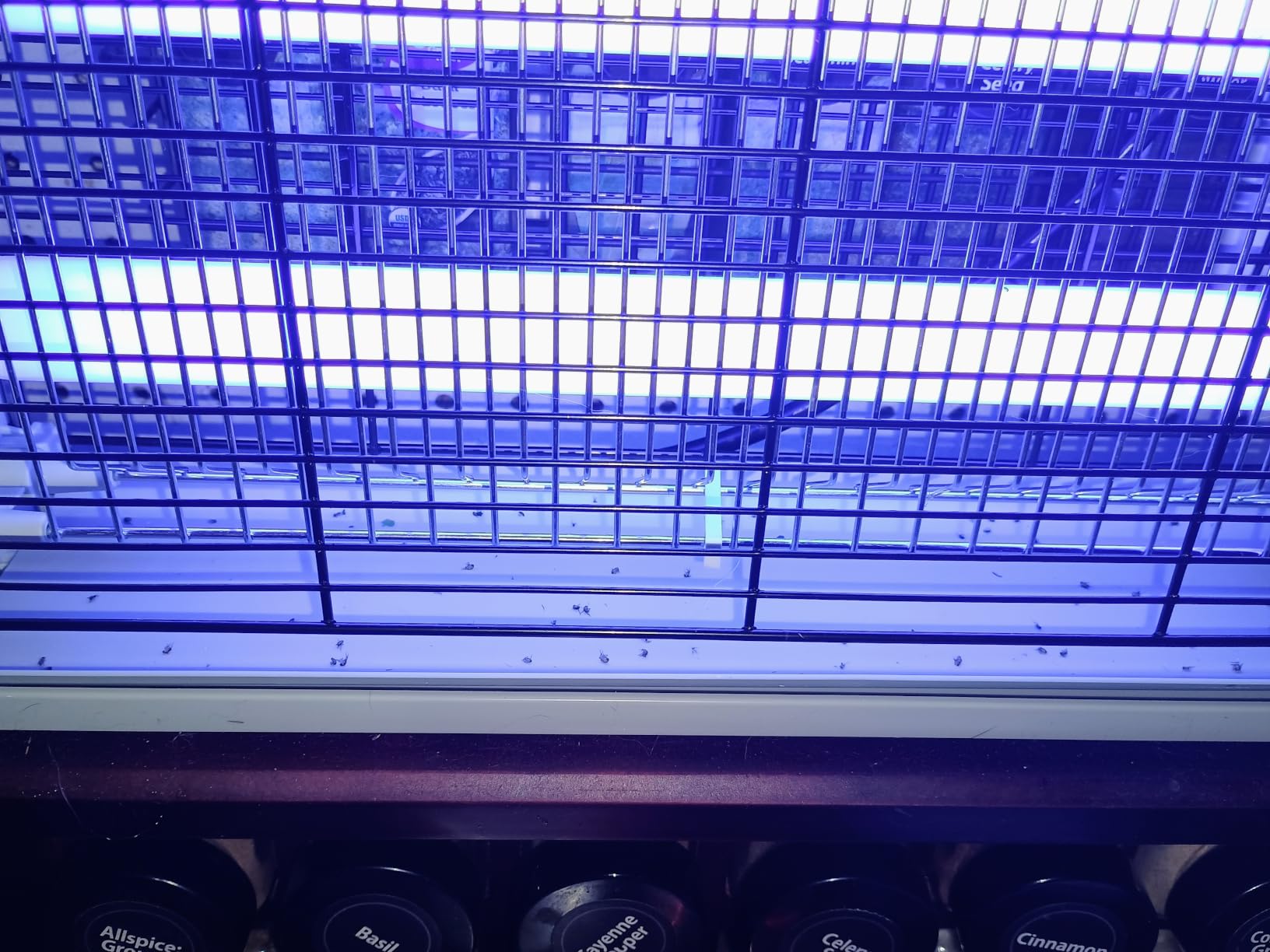 LiBa Bug Zapper 2800V Indoor, with 2 Extra Replacement Bulbs customer photo 2
