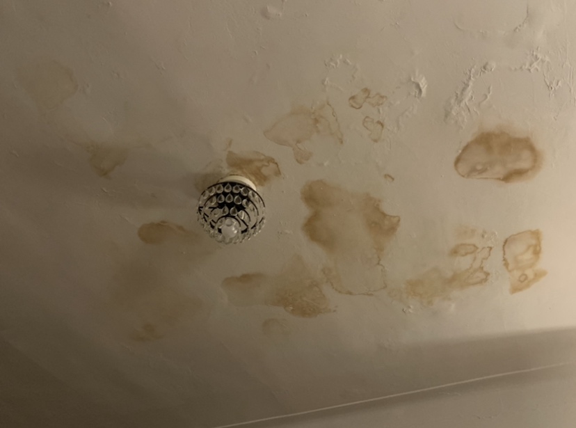 PRIMR KITCH&BATH 1GL customer photo 1