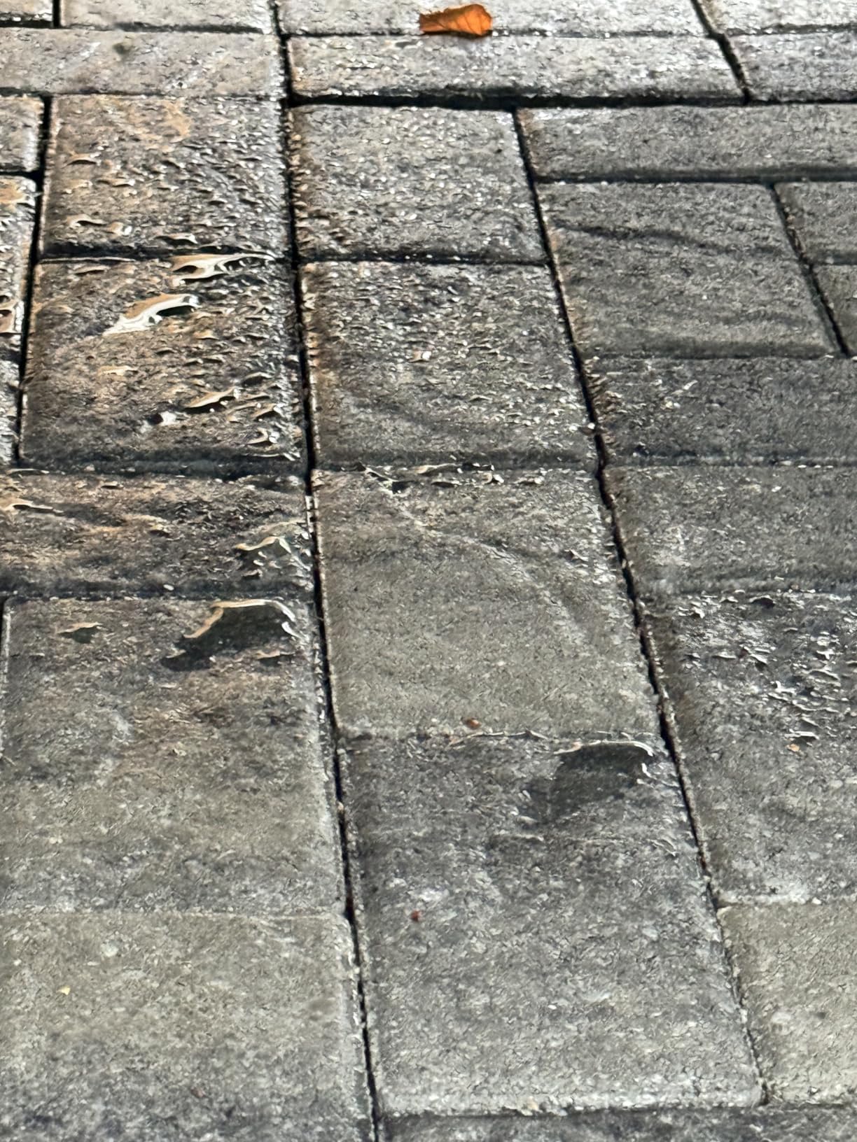 Rain Guard Concrete Sealer 1 Gallon | Ready to Use | Natural Finish | Deep Penetrating Protection Against Water and Salt Damage for All Concrete Surfaces | Silane/Siloxane Waterproofer customer photo 2