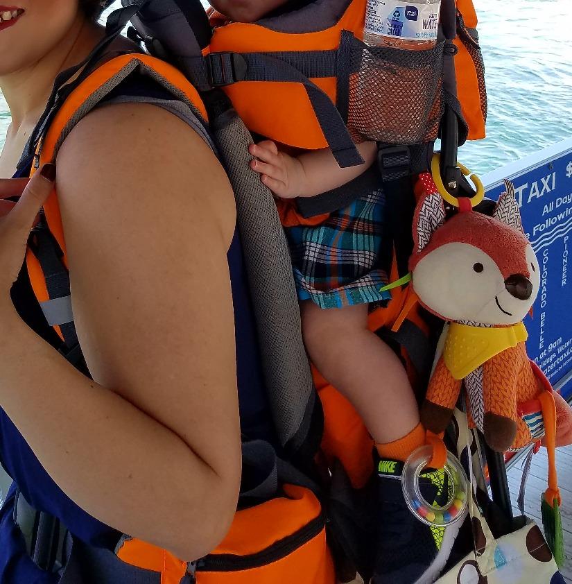 Hiking Baby Carrier Backpack - Toddler & Child Carrier customer photo 1