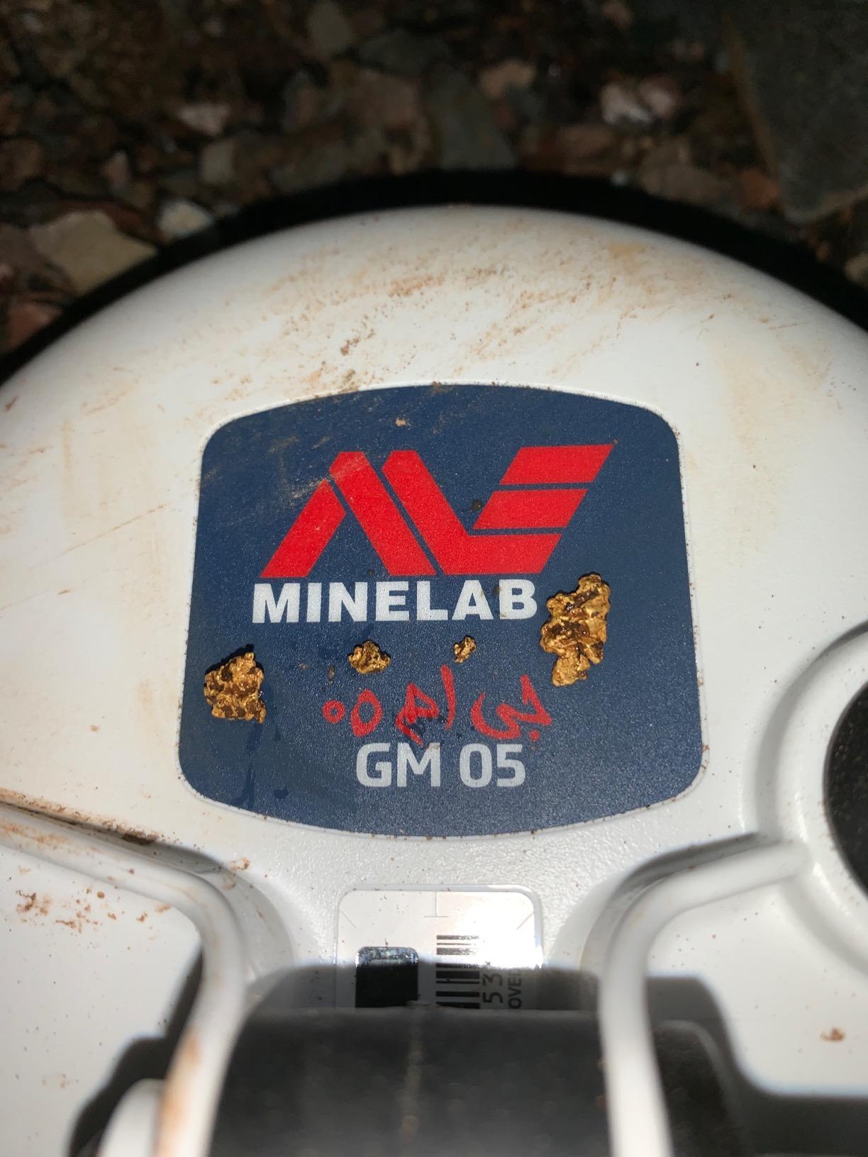 Minelab Gold Monster 1000 Gold Detector for Adults with Waterproof Coil customer photo 2