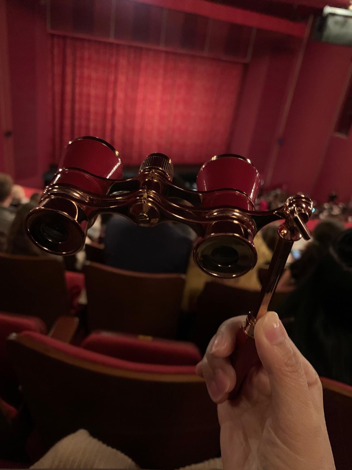 Aomekie Opera Glasses Binoculars 3X25 Theater Glasses Lorgnette Mini Binocular Compact with Handle for Adults Women in Musical Concert(White) customer photo 2