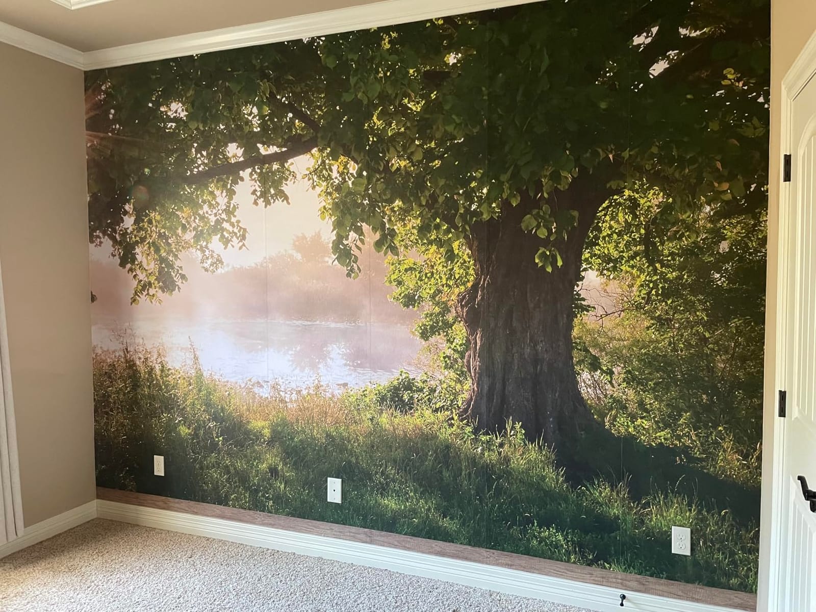 wall26 - Beautiful Forest Wallpaper- Canvas Art Wall Mural Decor - 100