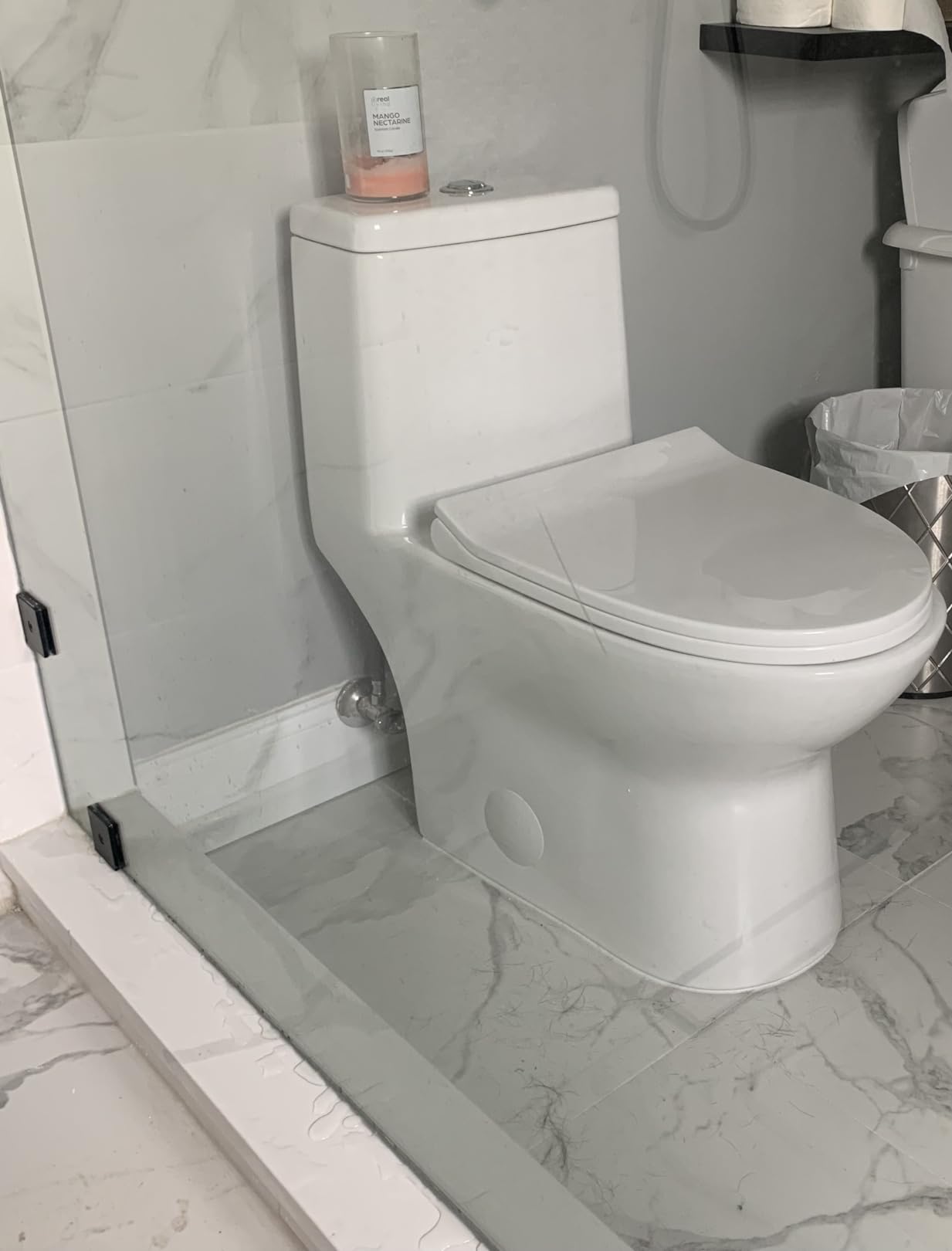 Swiss Madison SM-1T112 Ivy One Piece Toilet Dual Flush customer photo 1