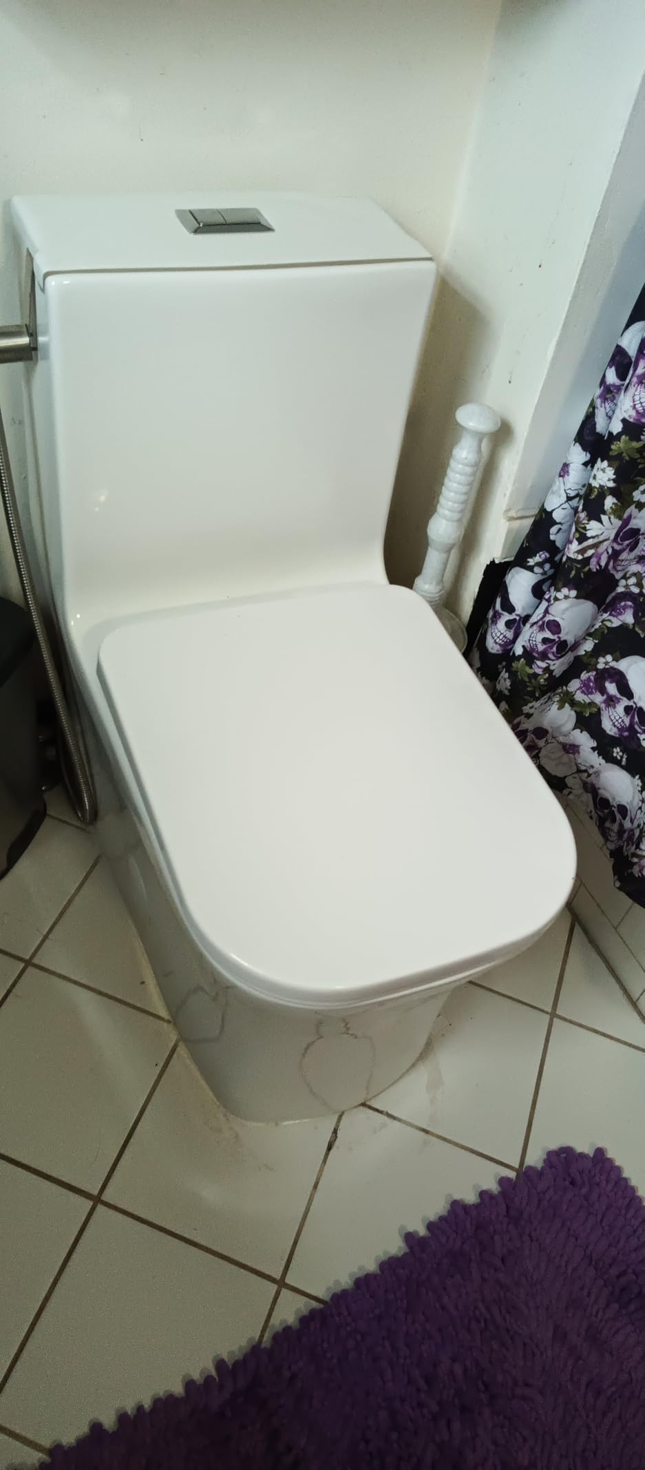 Swiss Madison Well Made Forever SM-1T106 Concorde One Piece Toilet, Glossy White customer photo 1