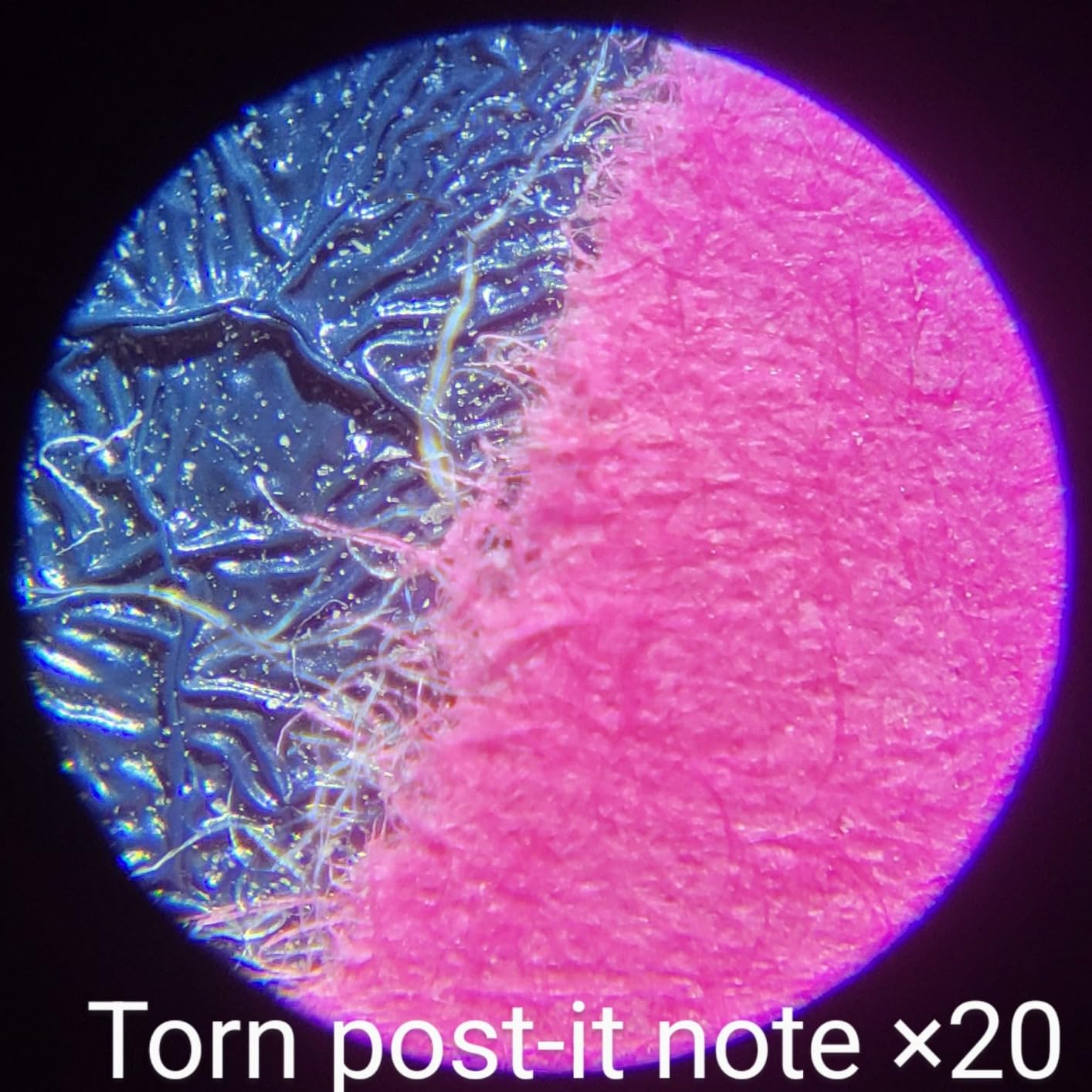 Carson Pocket Micro 20x-60x LED Pocket Microscope Handheld STEM Toy (MM-450) customer photo 1