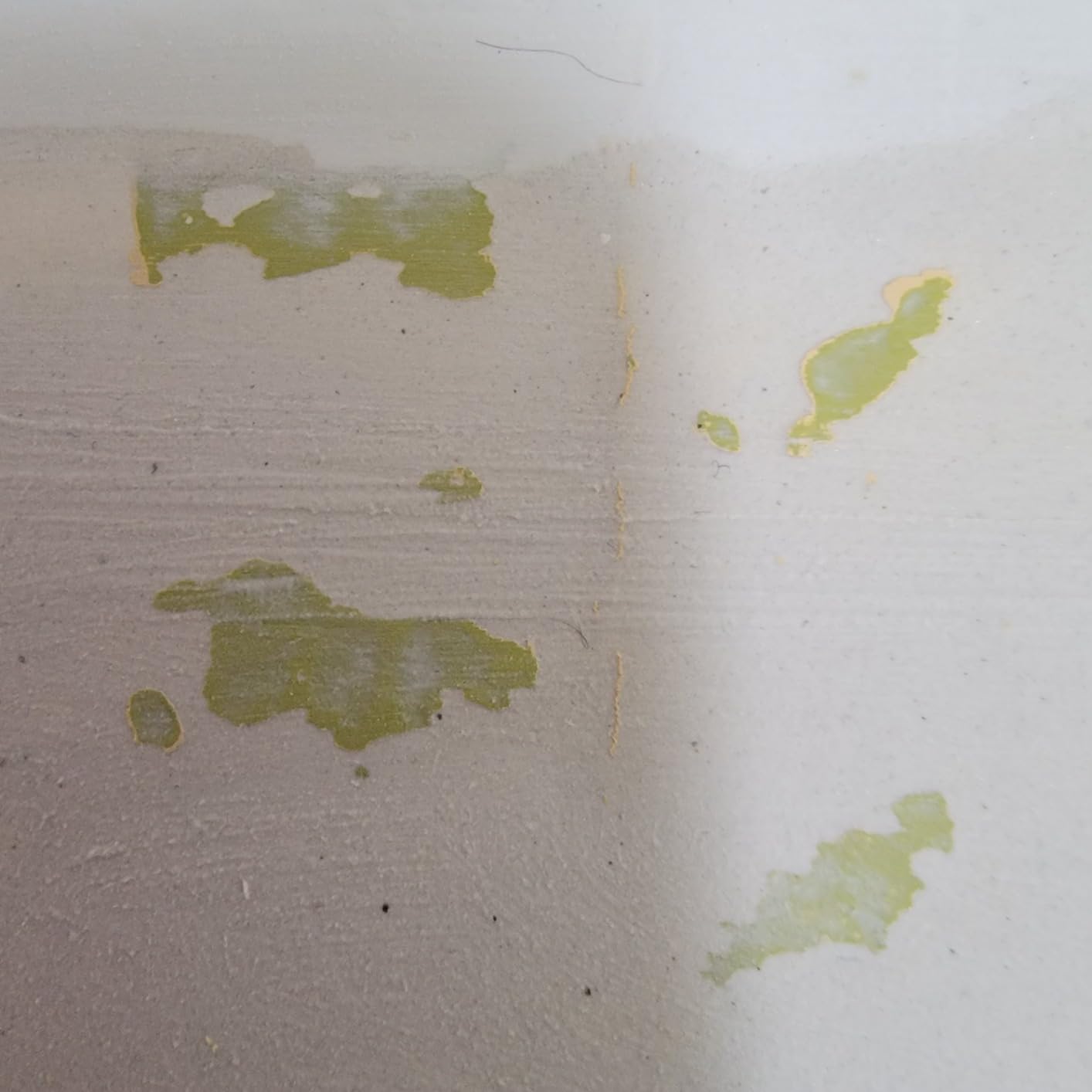 Paint-Guard Mold and Mildew Defense Paint Additive (1 Gallon Treatment) customer photo 2