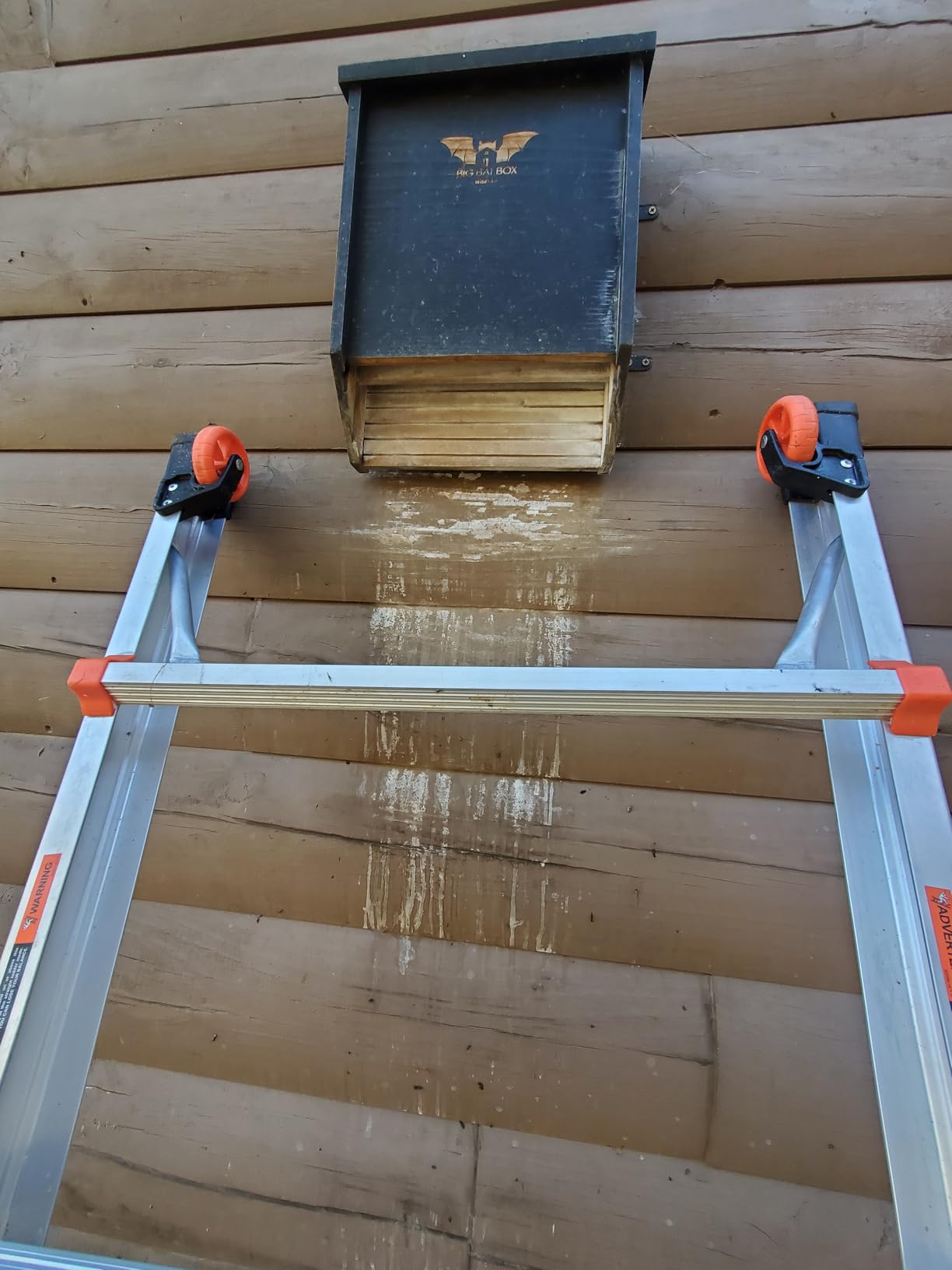 WildYard Bat House for Outdoors - Extra Large 3 Chamber, Brown, 200 Bats customer photo 1