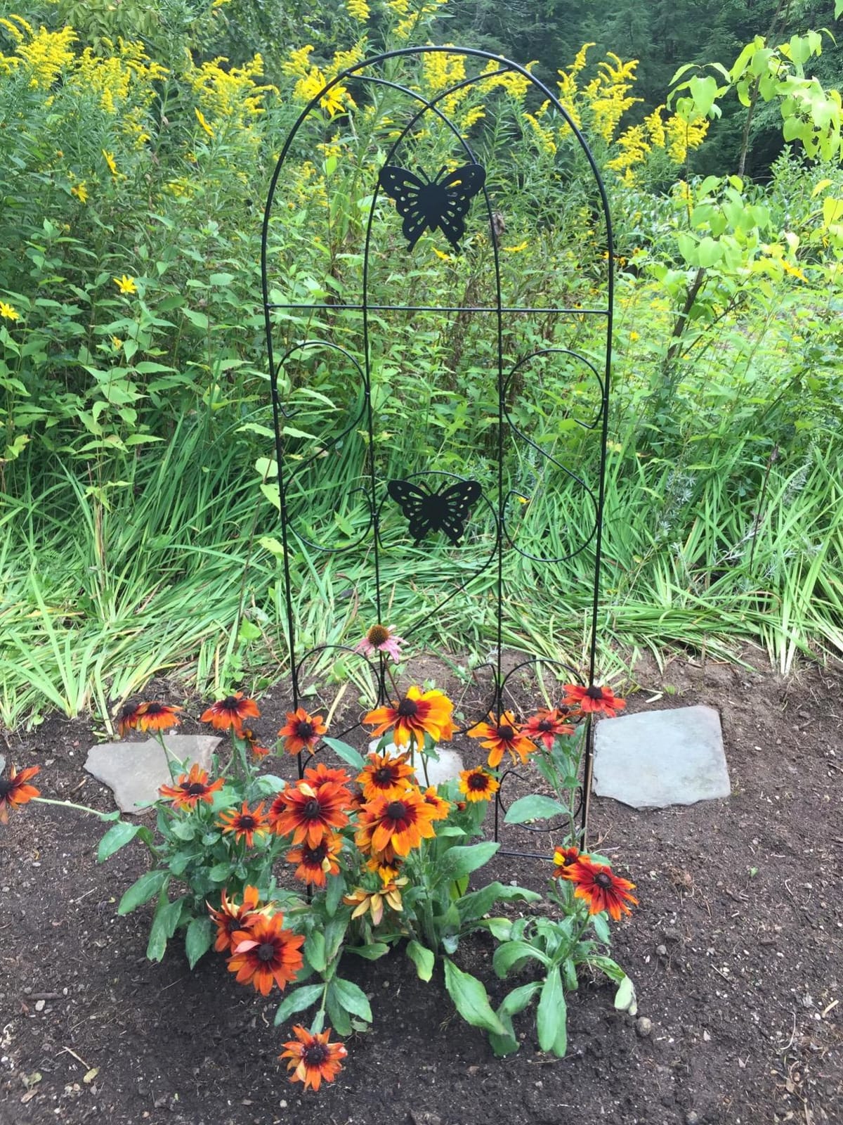 Amagabeli Garden Trellis for Climbing Plants 47” x 16” Rustproof Black Iron Plant Trellis Potted Vines Vegetables Flowers Patio Metal Wire Lattices Grid Panels for Ivy Cucumbers Clematis 2 Pack GT03 customer photo 1