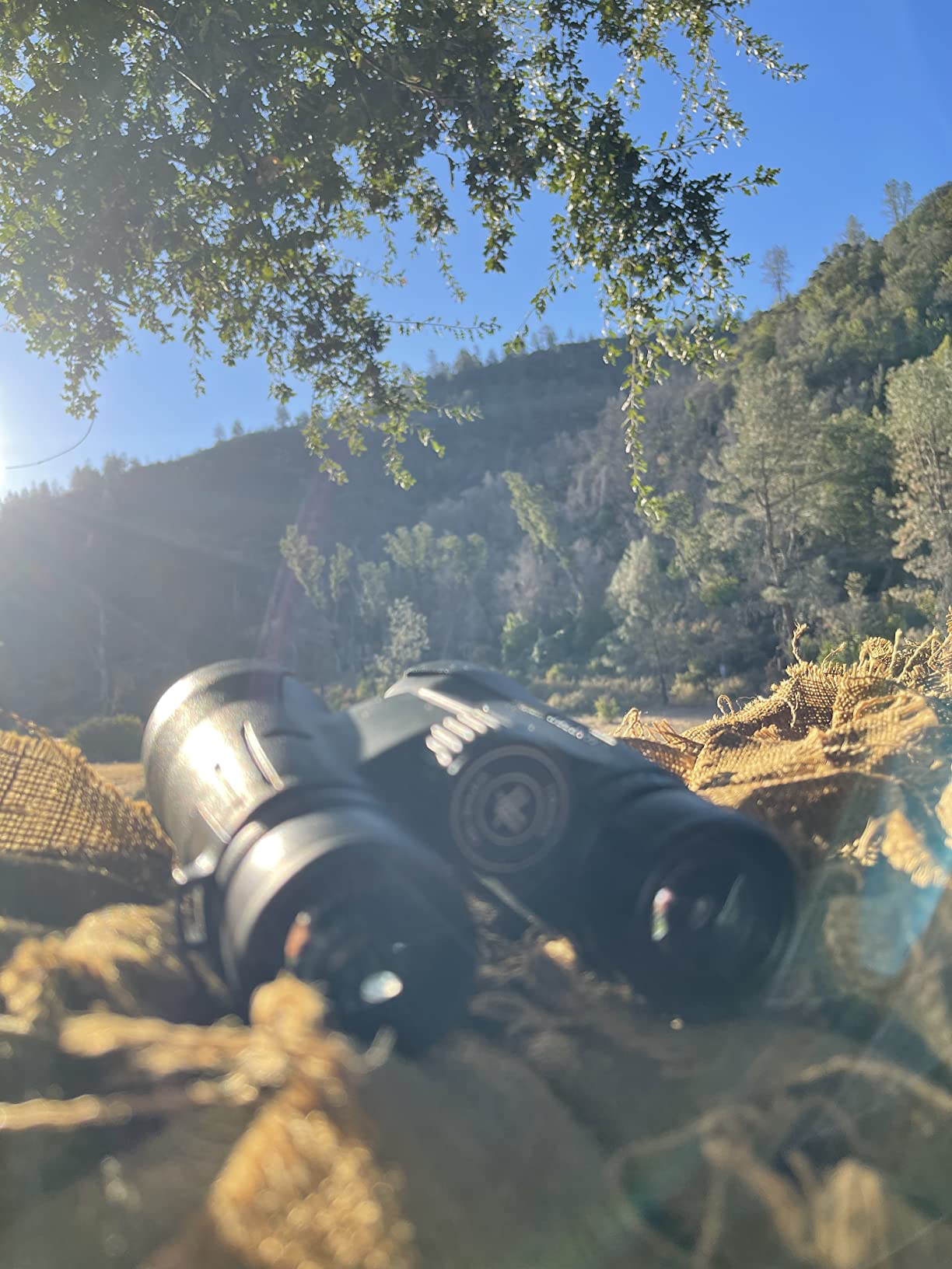 Vortex Viper HD Roof Prism Binoculars 12x50 customer photo 1