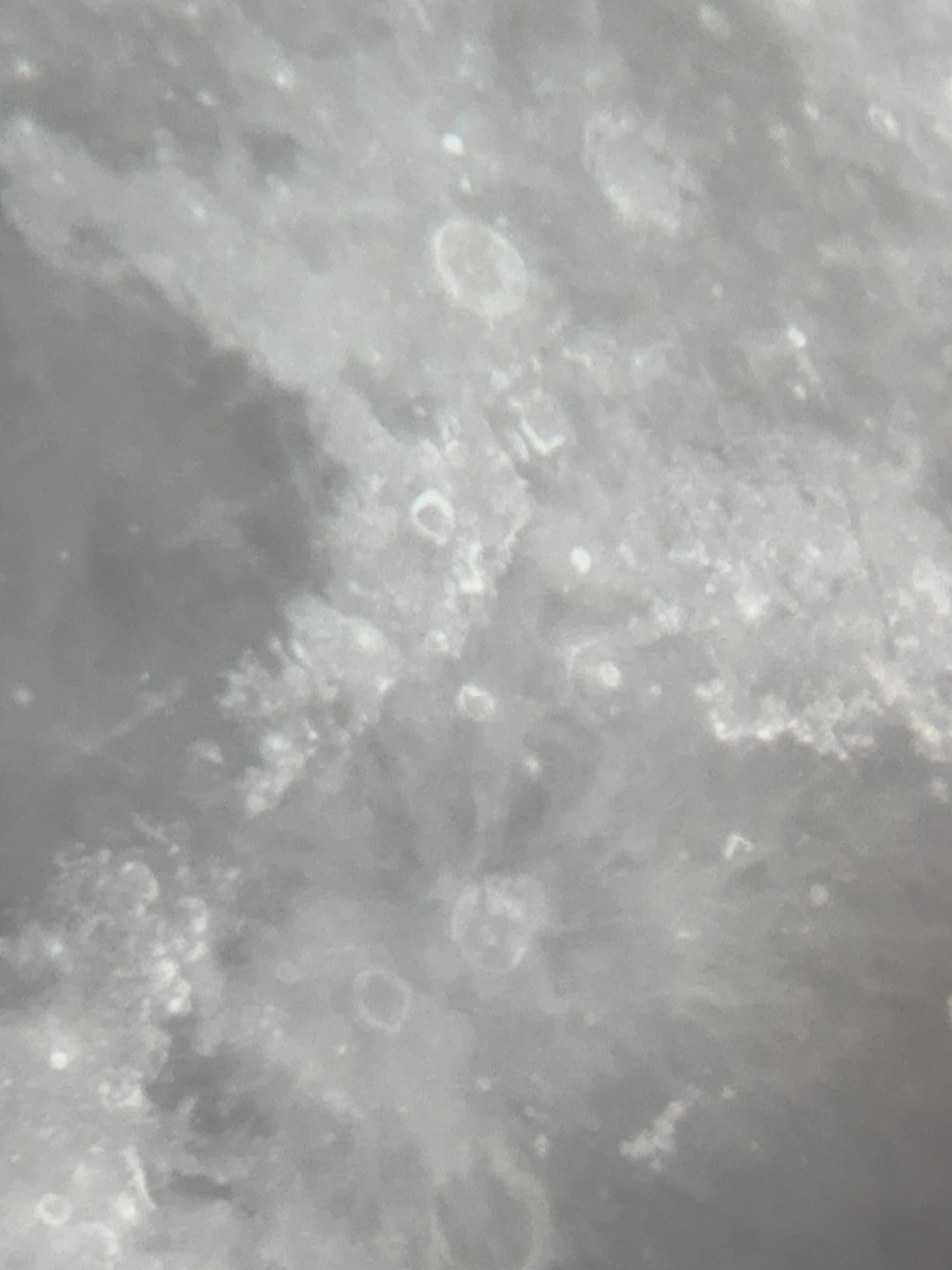 Celestron Nexstar 6SE 150mm f/10 Schmidt-Cassegrain GoTo Telescope (Black) customer photo 2