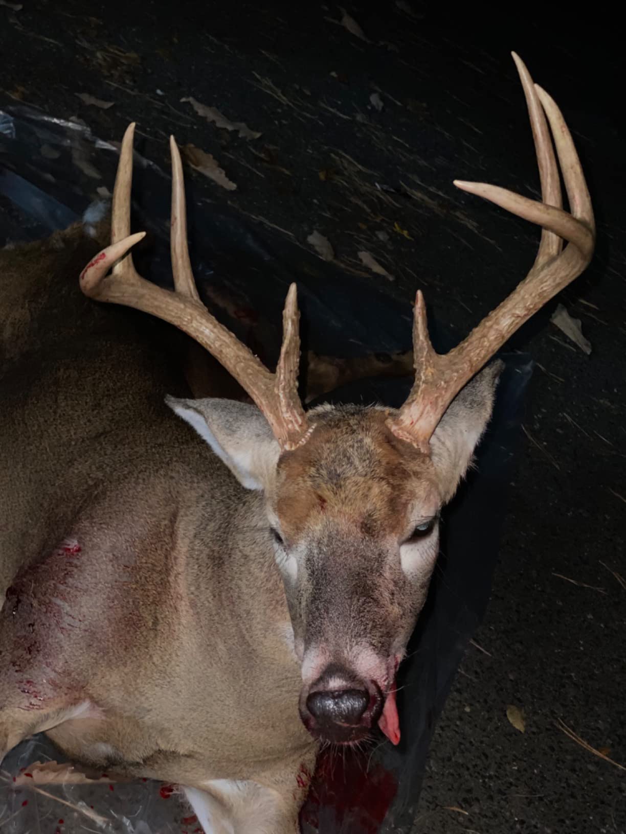 BIG GAME 2 Person Ladder Stand customer photo 1