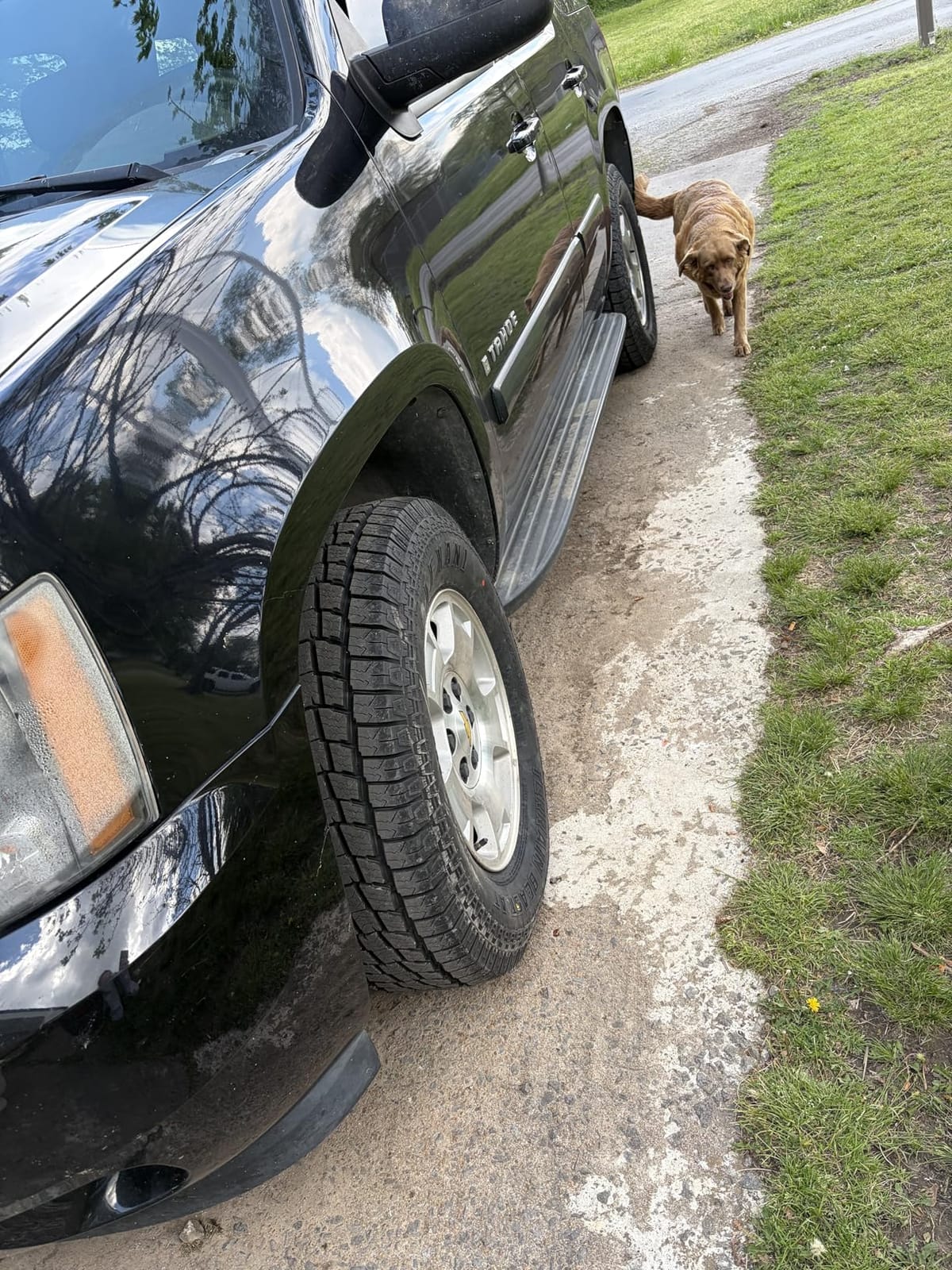 Lexani Terrain Beast AT LT265/70R17 121/118S E customer photo 1