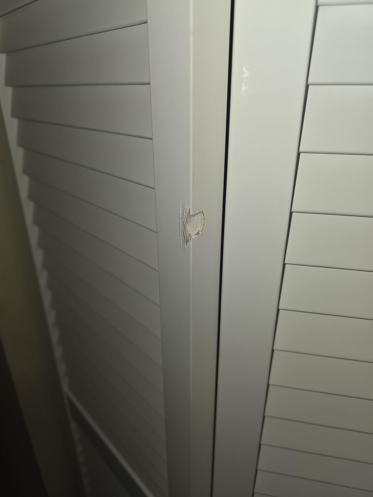 Kimberly Bay Closet Door, Bi-fold, Traditional Louver-Louver White (80x32) customer photo 2