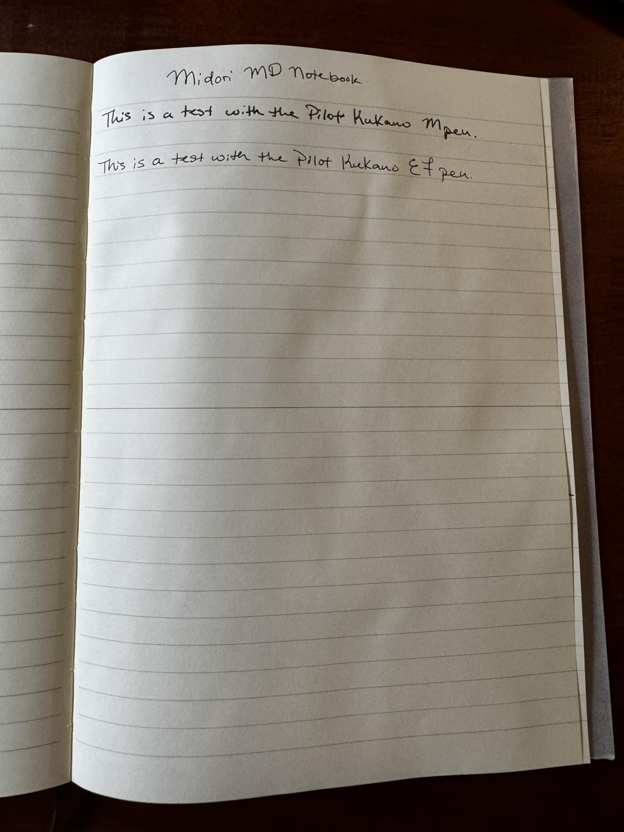 PILOT Kakuno Fountain Pen, Clear Barrel, Medium Nib 0.5mm customer photo 1