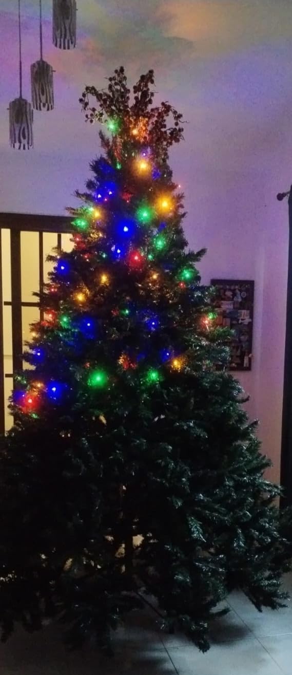 Brizled Outdoor Christmas Tree Lights, 65.67 ft 200 LED Indoor String Light customer photo 2