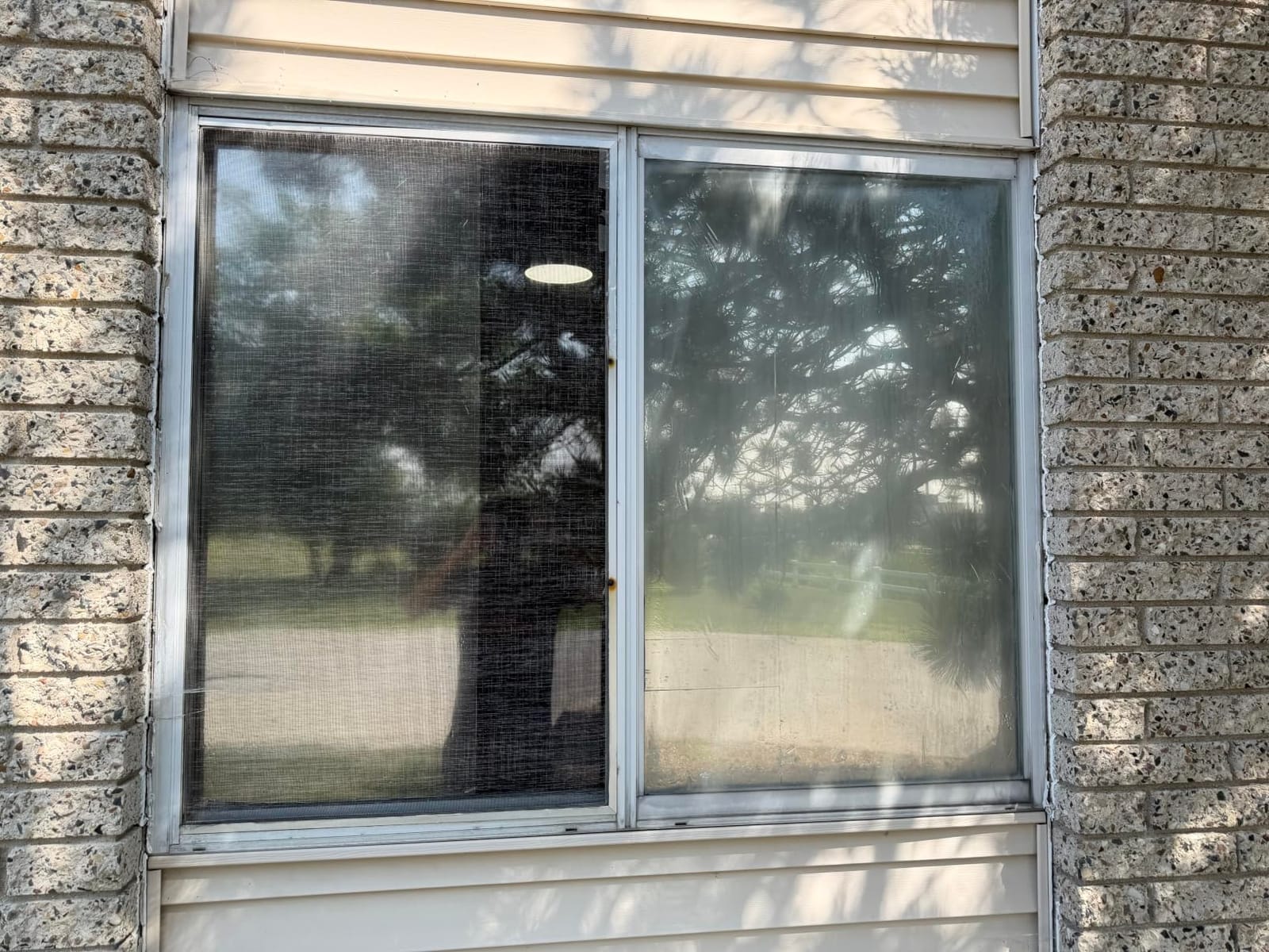 KESPEN Window Privacy Film One Way Static Cling Tint, Black, 17.5InX6.5Ft customer photo 2