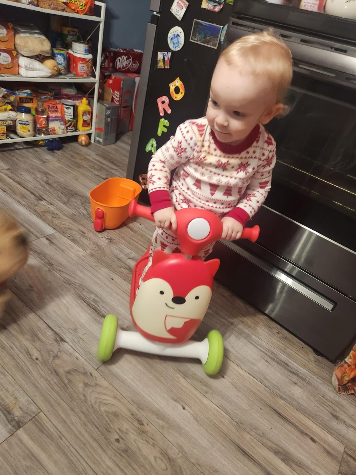 Skip Hop Kids 3-in-1 Baby Activity Push Walker & Ride On Scooter Toy, Unicorn customer photo 1