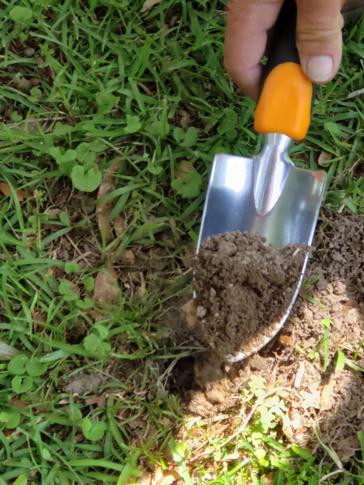 Soil Test Kit - Discover Your Lawn and Garden Fertility with pH, Nutrient and Mineral Analysis. Professional Results Provide Custom Fertilizer Prescription for Your Yard. customer photo 1