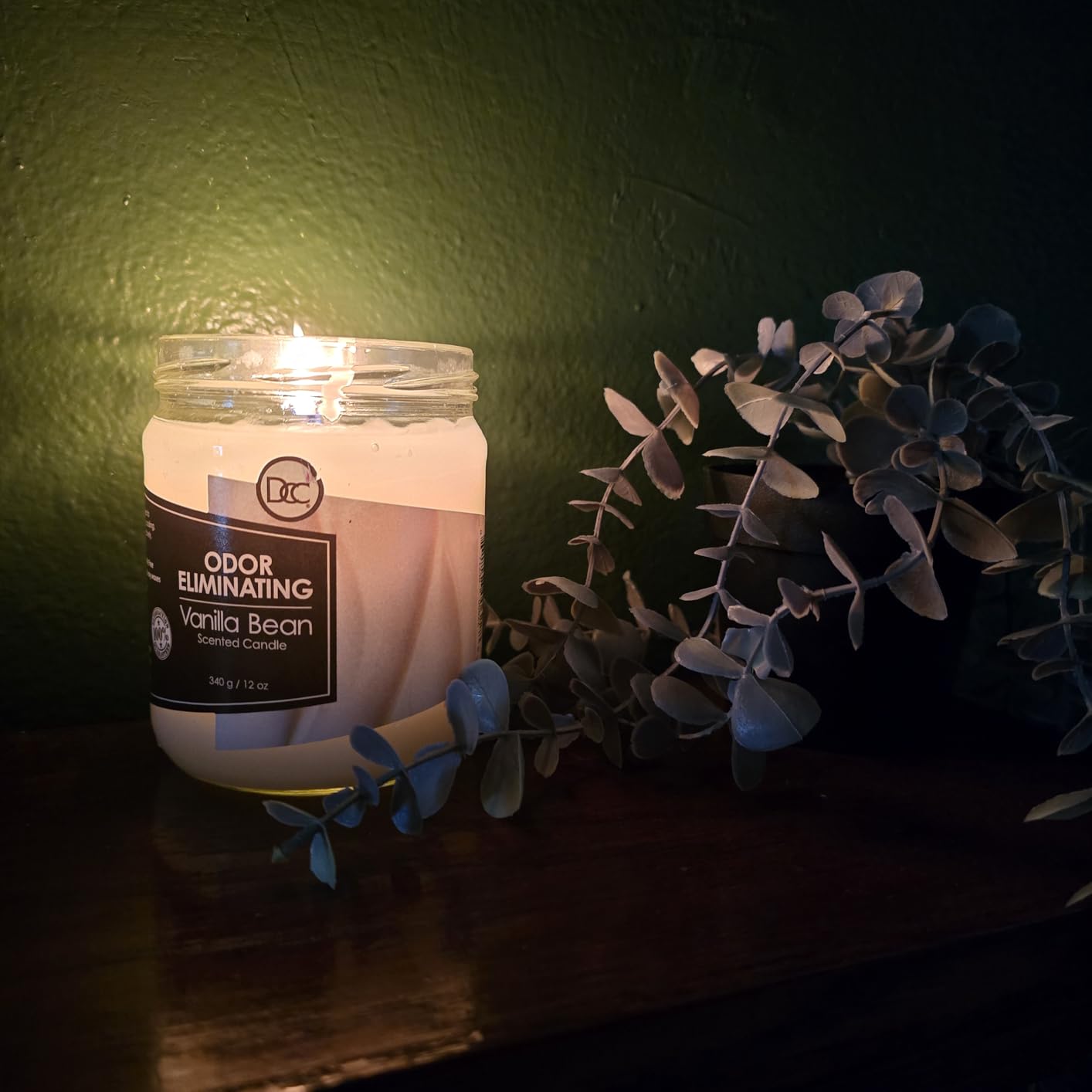 Vanilla Bean Odor Eliminating Highly Fragranced Candle - Eliminates 95% of Pet, Smoke, Food, and Other Smells Quickly - Up to 80 Hour Burn time - 12 Ounce Premium Soy Blend customer photo 1