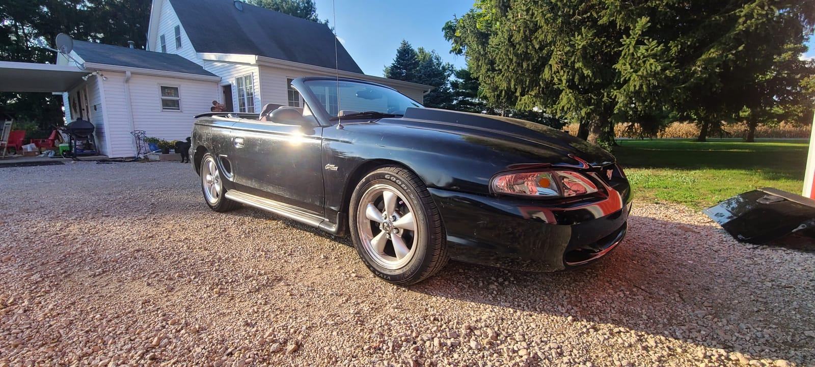 Godspeed LS-TS-FD-0006-B Traction-S Performance Lowering Springs For Ford Mustang 1994-98 customer photo 2