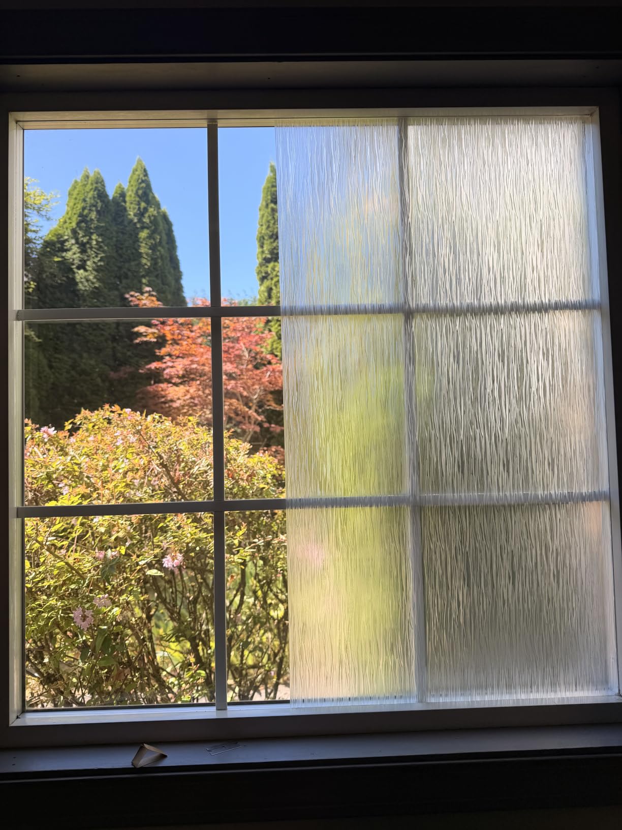 VELIMAX Rain Glass Window Film Privacy Static Window Clings Decorative Glass Sticker for Home Office Removable UV Protection Heat Control 17.7 x 78.7 inches customer photo 2