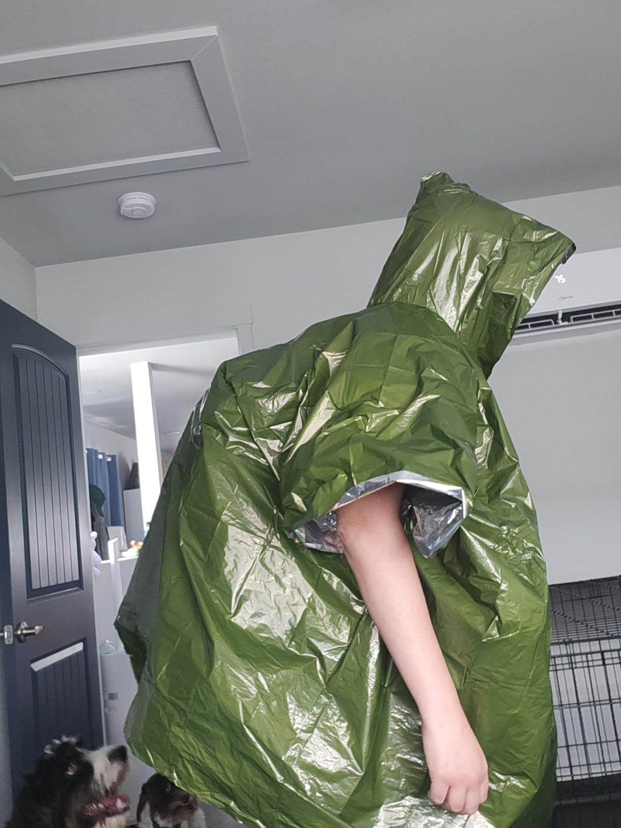 PREPARED4X Emergency Mylar Poncho – Survival Rain Poncho with Hood – Lightweight, Compact, Reusable Emergency Blanket Poncho for Hiking, Camping, Thermal Gear, Car Kit, Outdoors customer photo 1