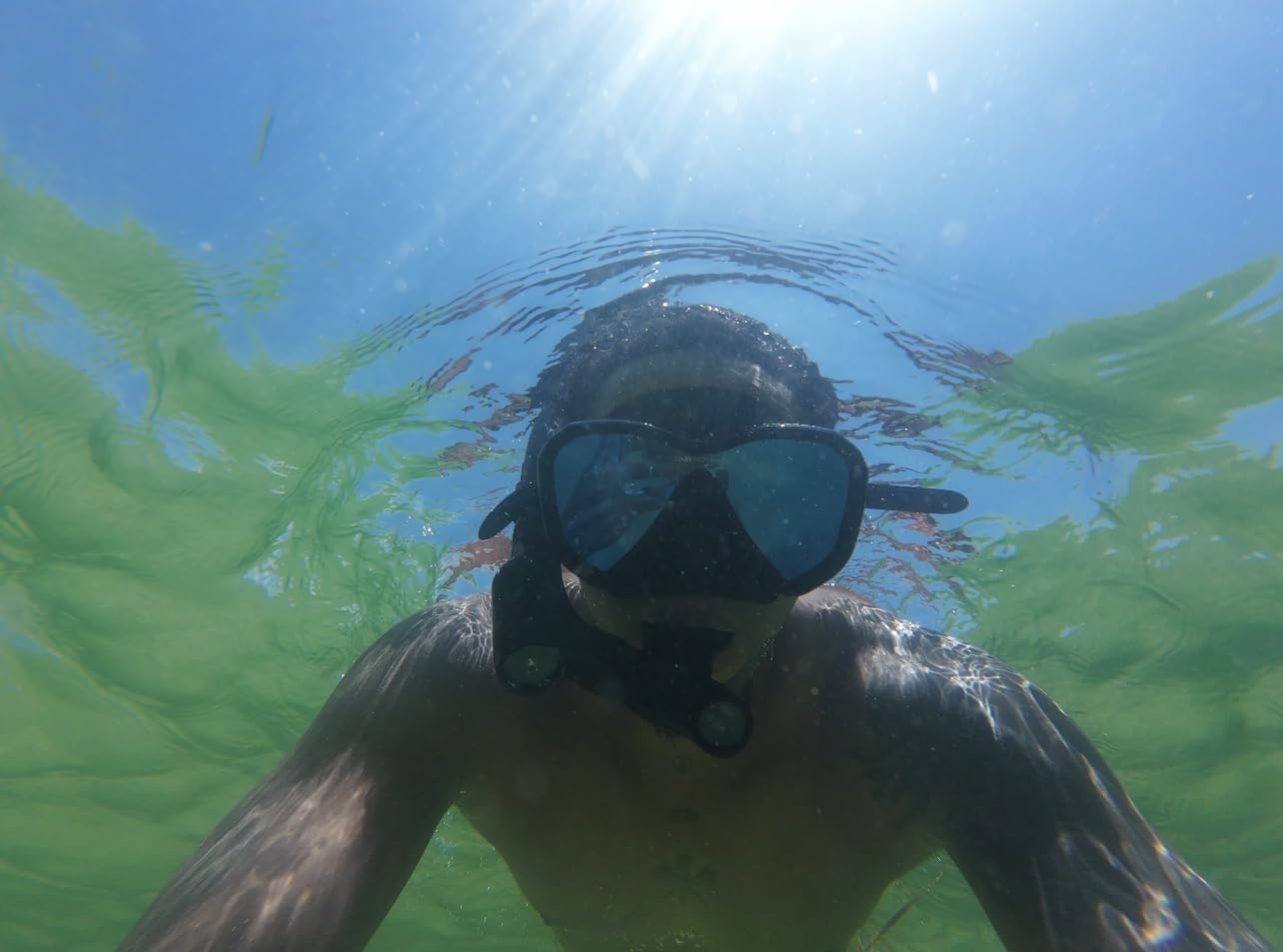 Snorkel Set Adults, Snorkel Mask and Dual Drain Valve Dry Snorkel customer photo 1