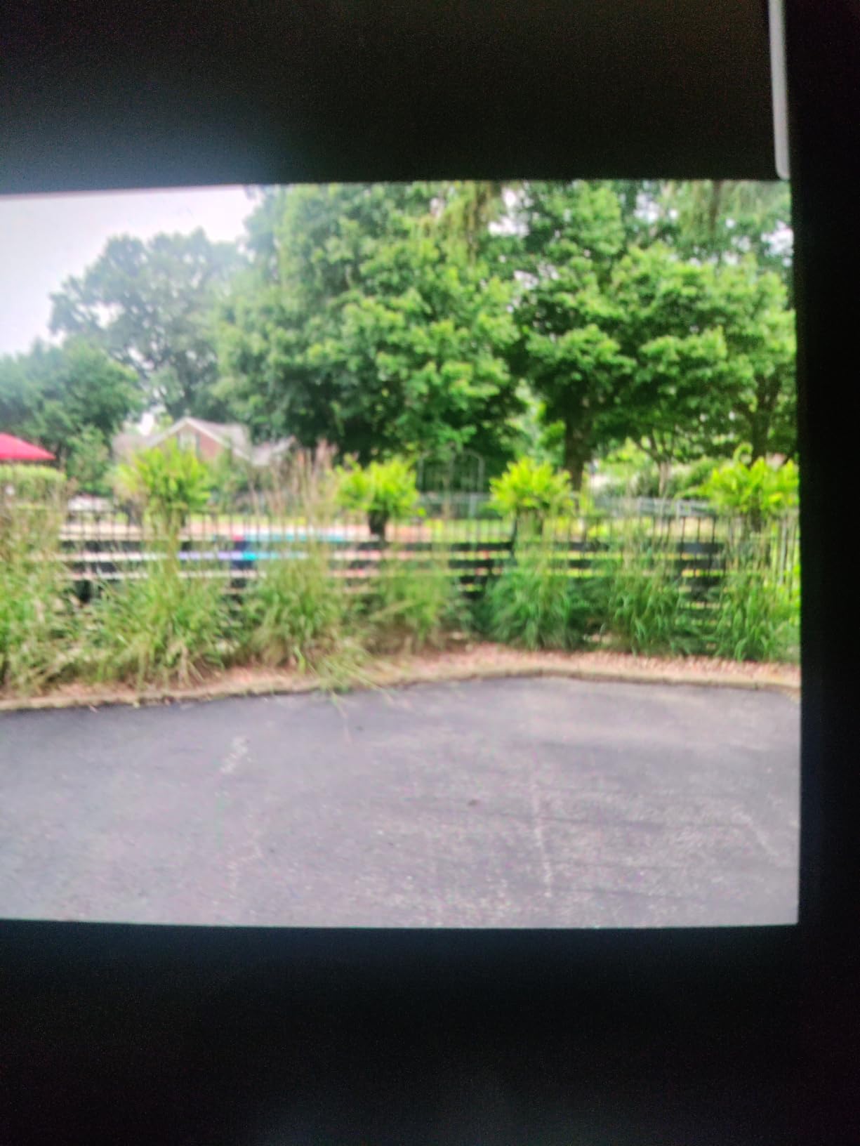 MASTER MARK Terrace Board, Landscape Coiled Edging, Grass Barrier, Bender Board, Flower Bed, Vegetable Garden Borders 5 in. x 40 ft. with 10 Stakes (Black) customer photo 1