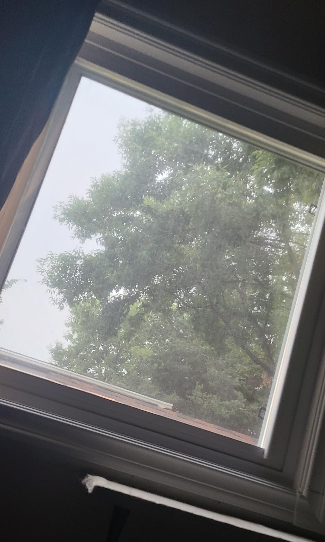 STATINT Window Privacy Film One Way, Mirror Glass Tint, 17.5in x 6.5ft customer photo 1