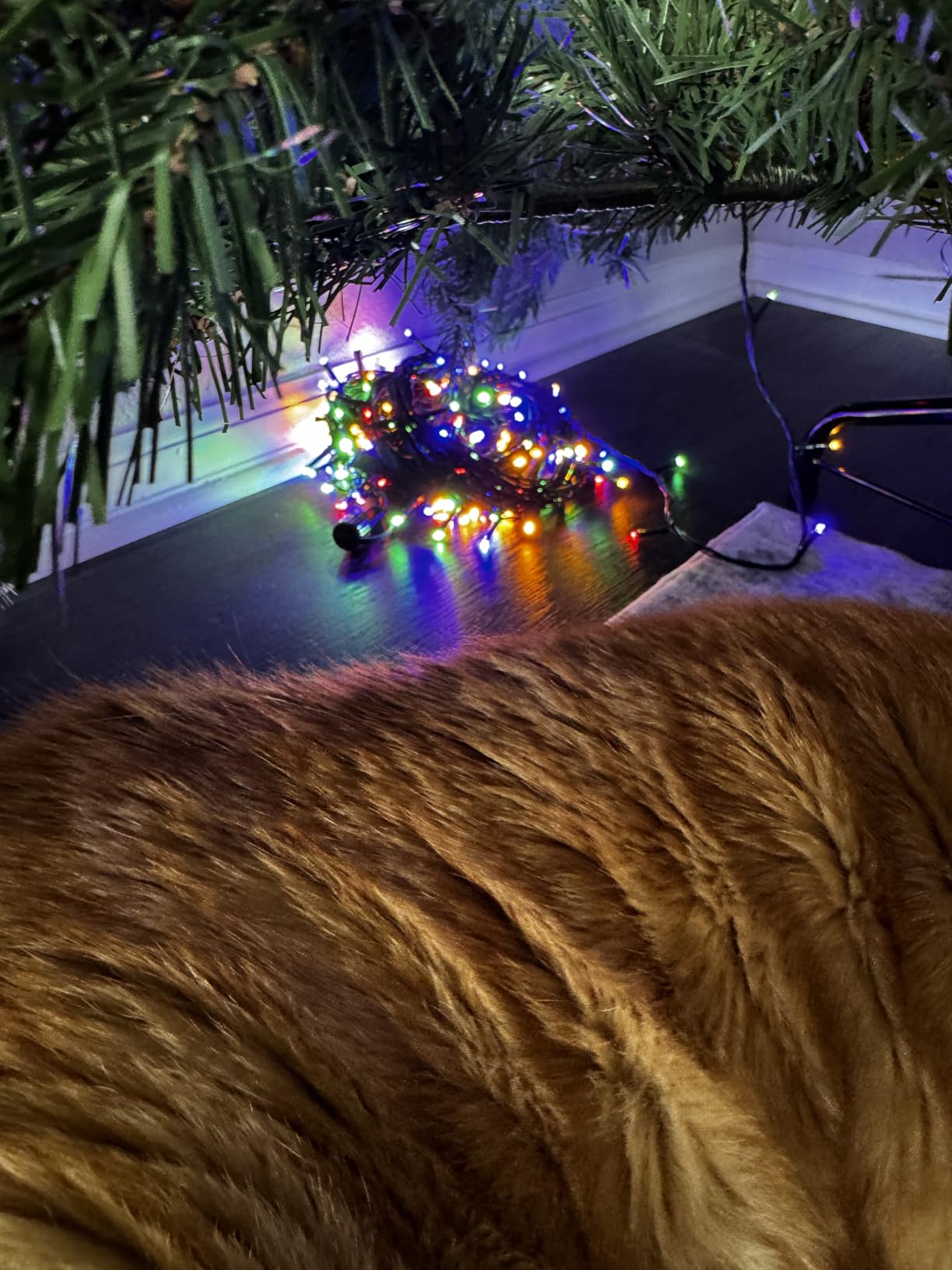 MZD8391 105FT 300LED Christmas Light Outdoor Indoor,Christmas Tree Light customer photo 2