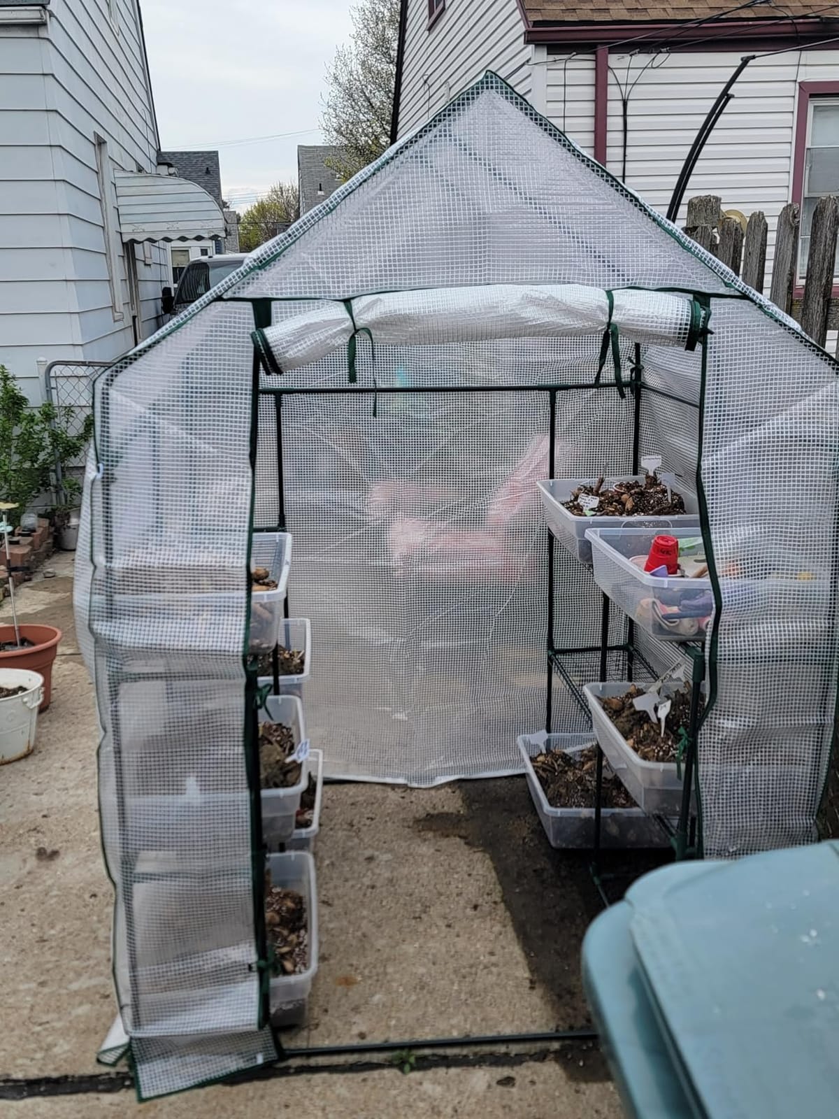 56x30x76 Mini Walk-in Greenhouse, Portable Plant House with 3-Tier Shelves customer photo 1
